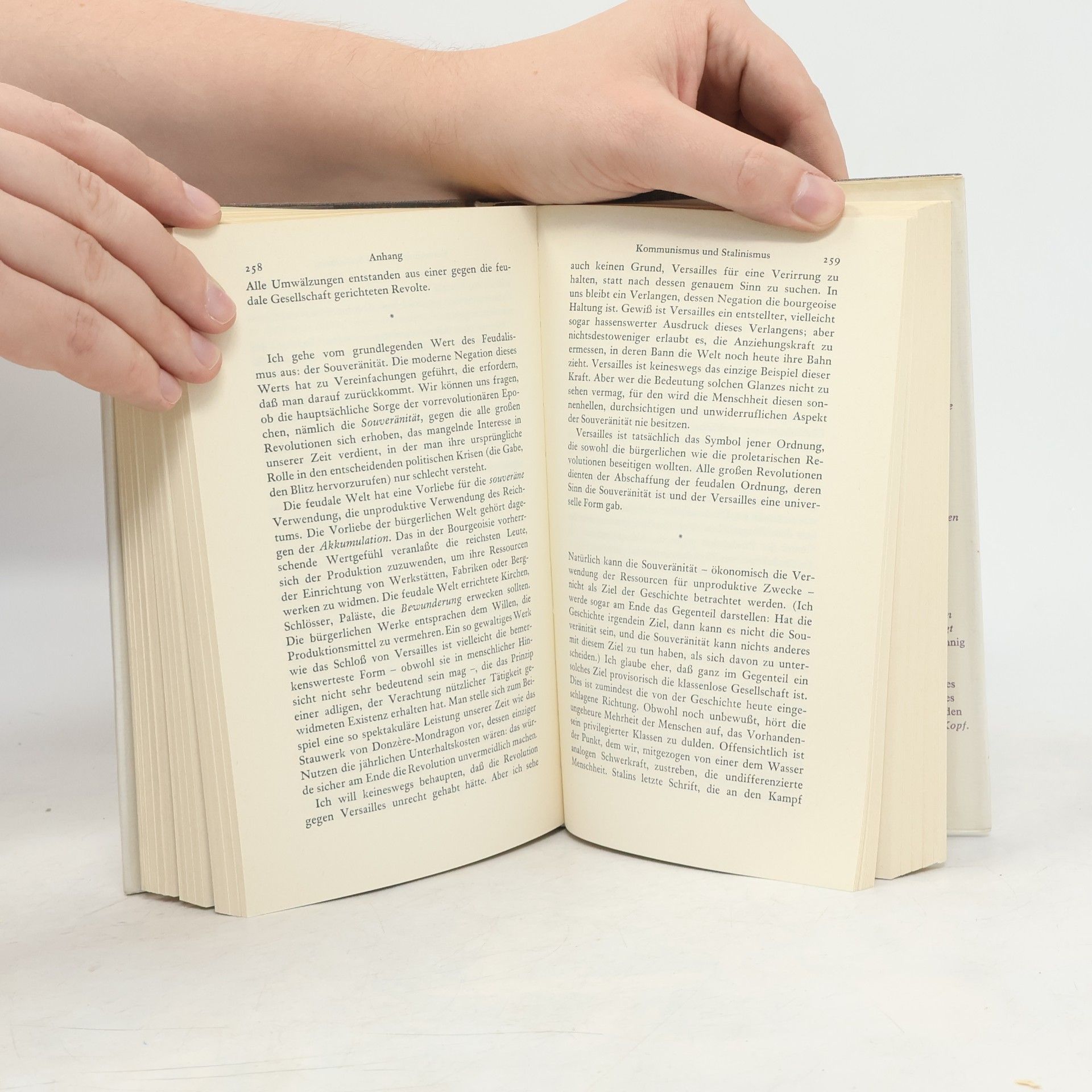 Georges Bataille Das theoretische Werk - 1: Die Aufhebung der Ökonomie