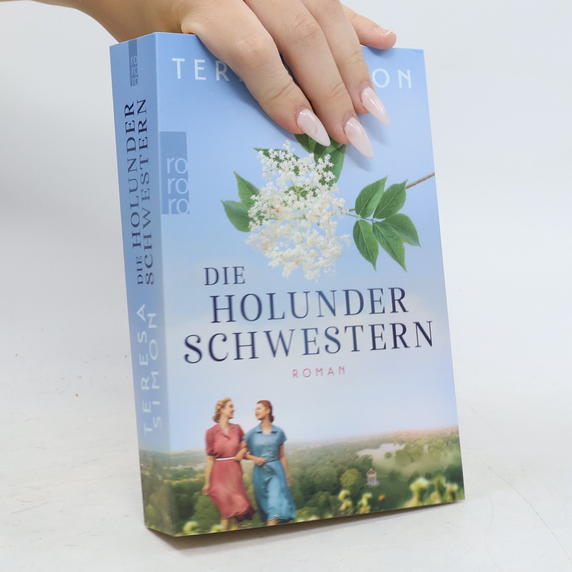 Brigitte Riebe Die Holunderschwestern