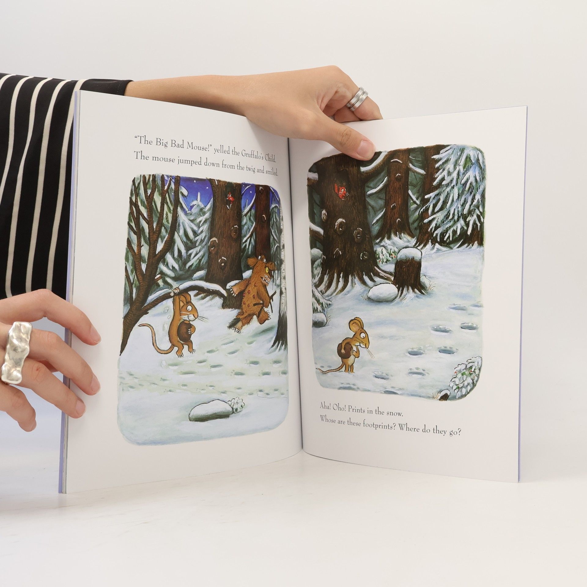 Axel Scheffler The Gruffalo's Child