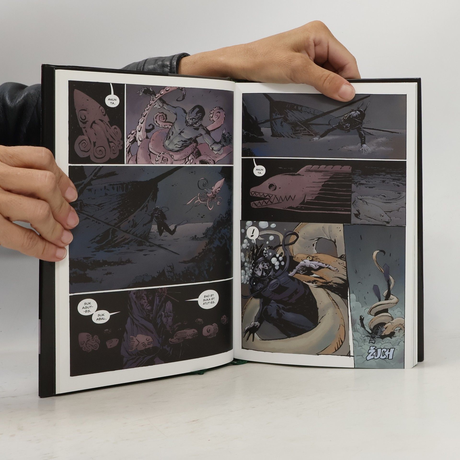 Mike Mignola Dýka z Lipu