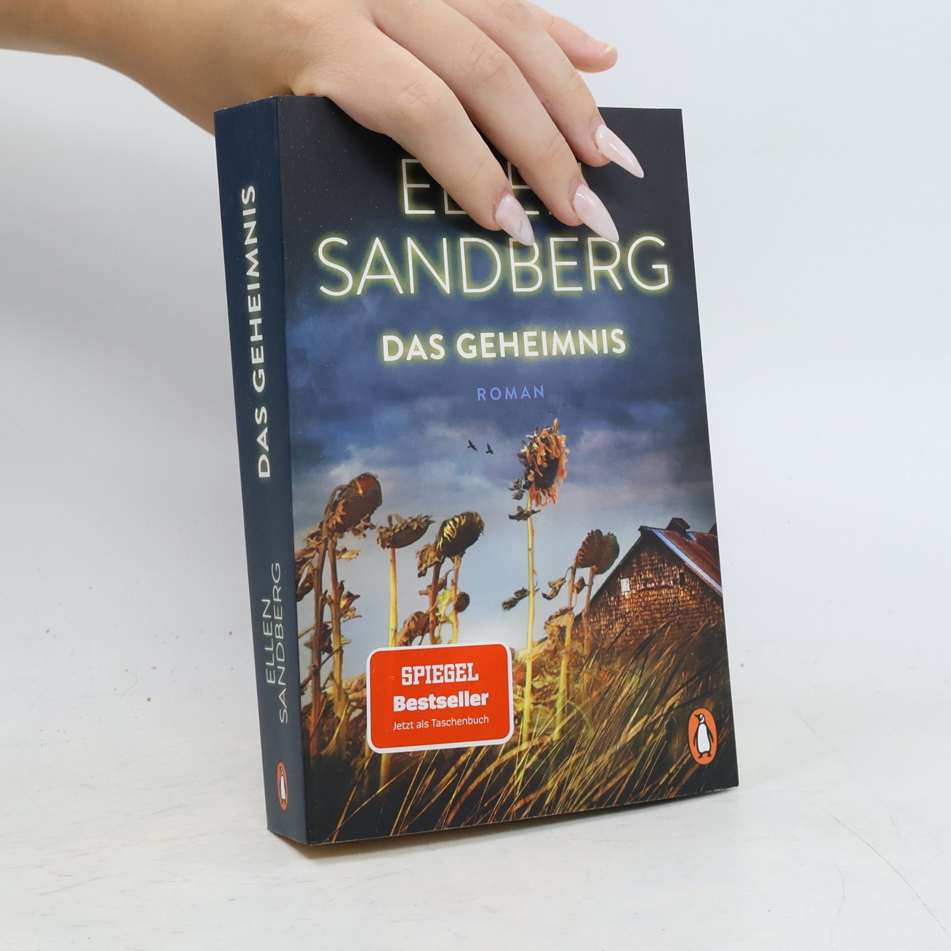Ellen Sandberg Das Geheimnis