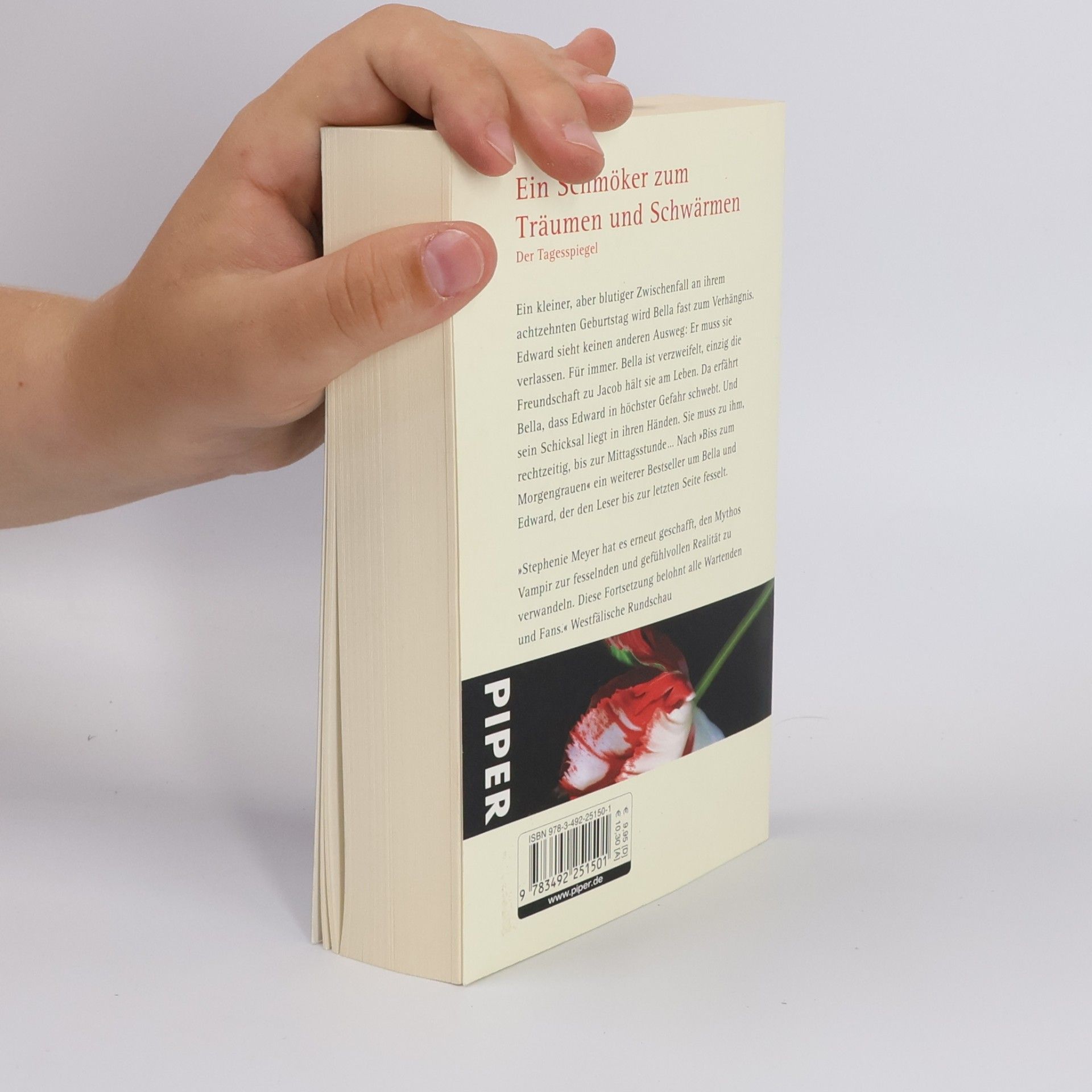 Stephenie Meyer Biss zur Mittagsstunde