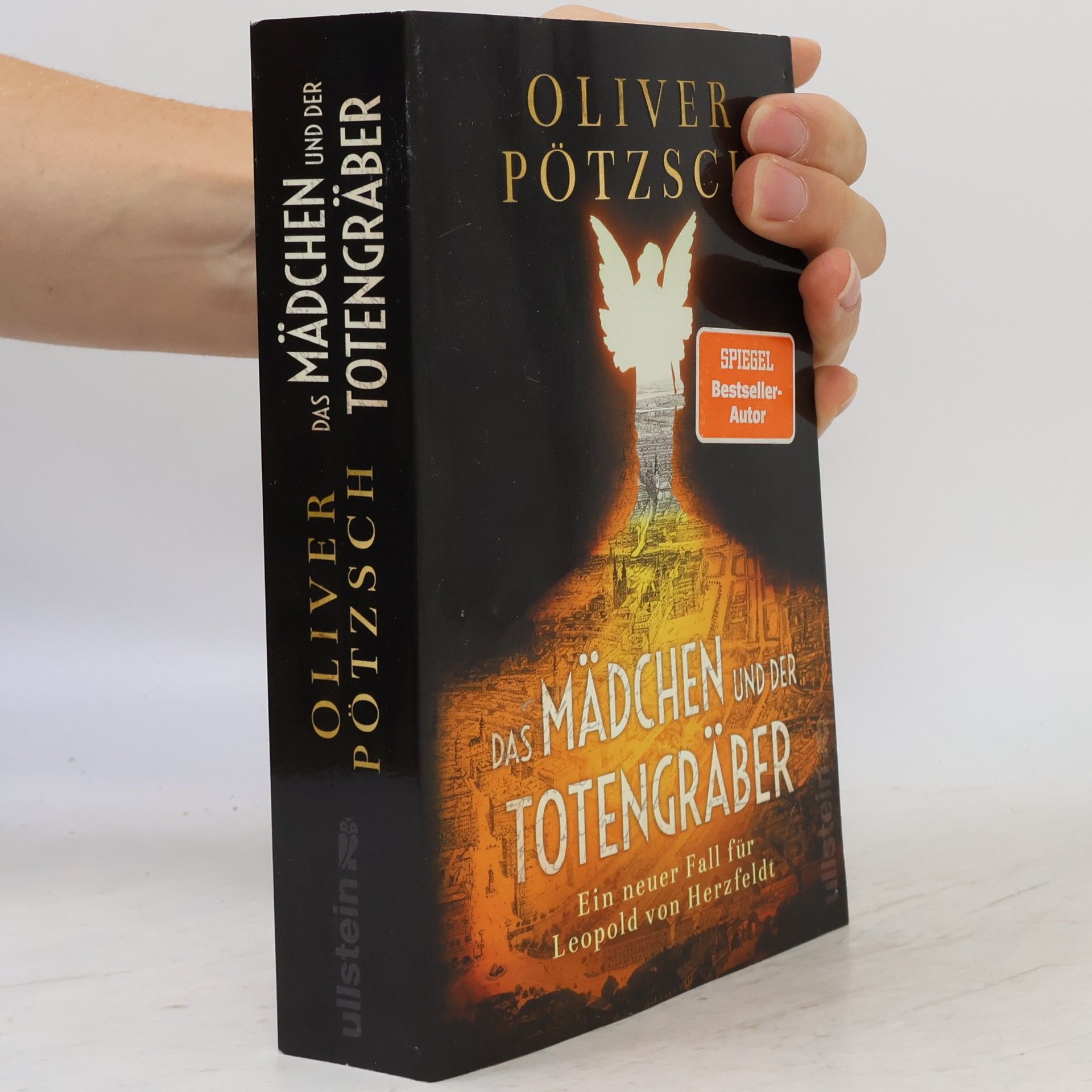 Oliver Pötzsch Das Mädchen und der Totengräber