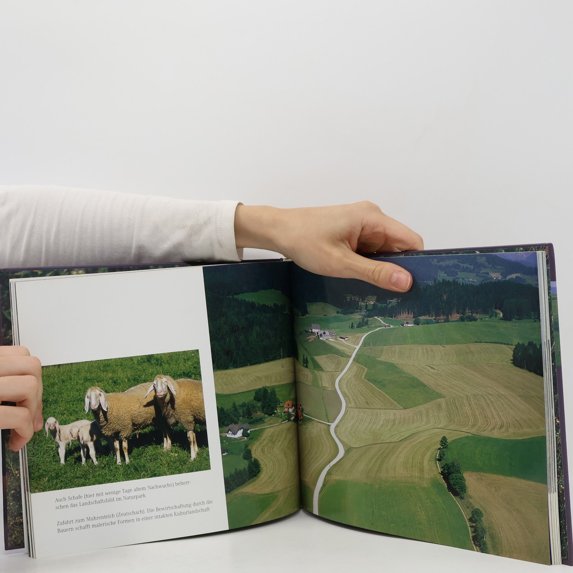 Gery Wolf Naturpark Grebenzen