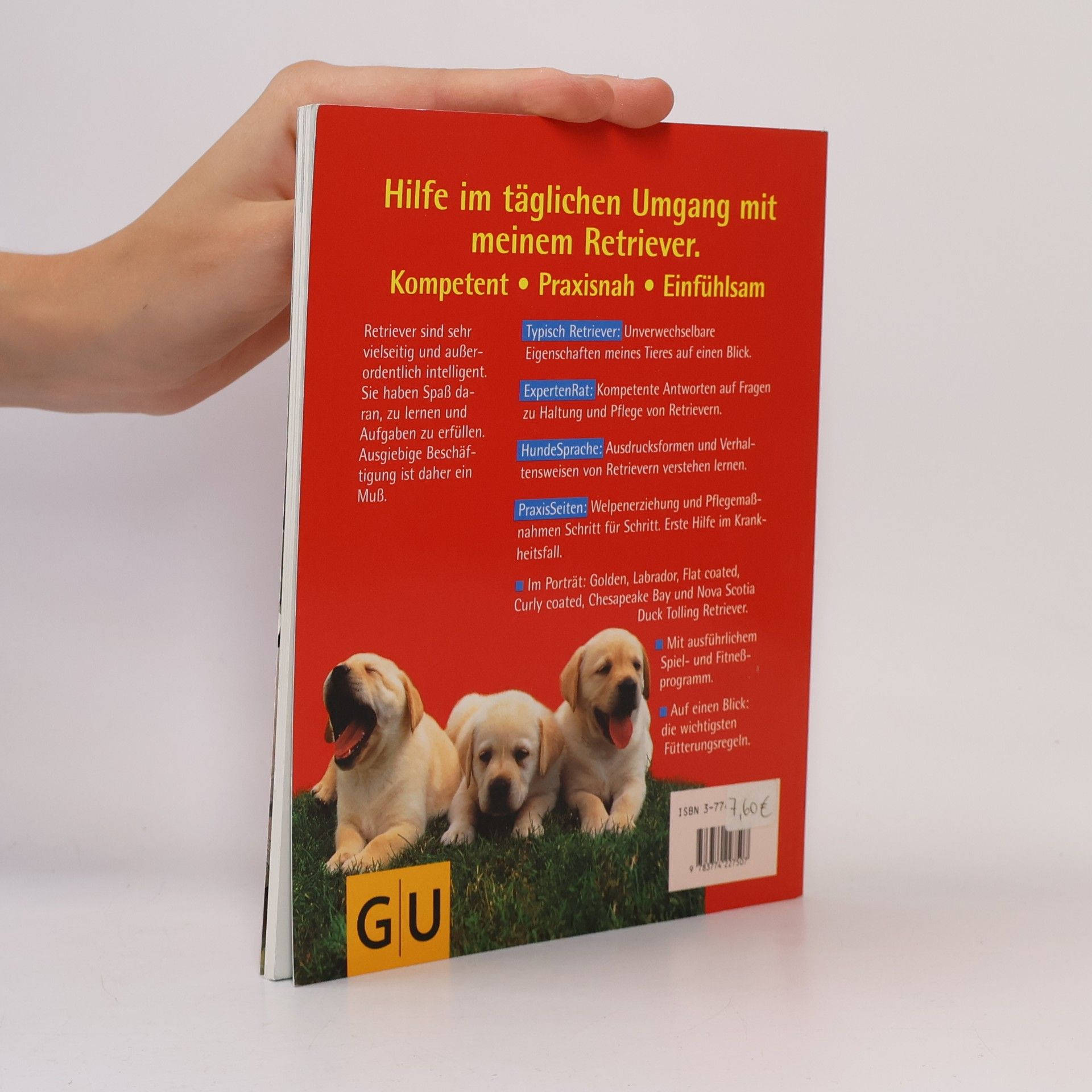 Brigitte Schneidermann Retriever
