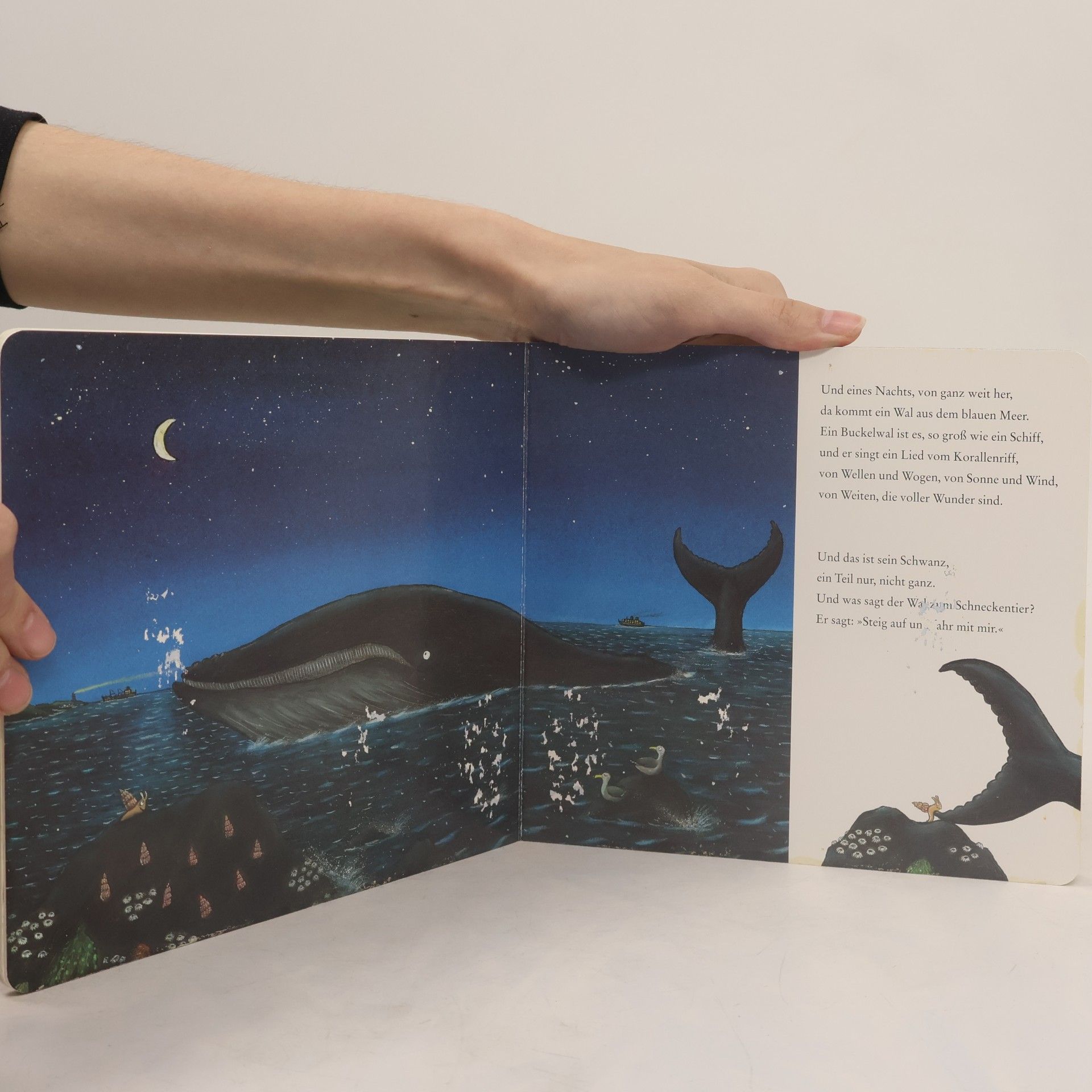 Axel Scheffler Die Schnecke und der Buckelwal
