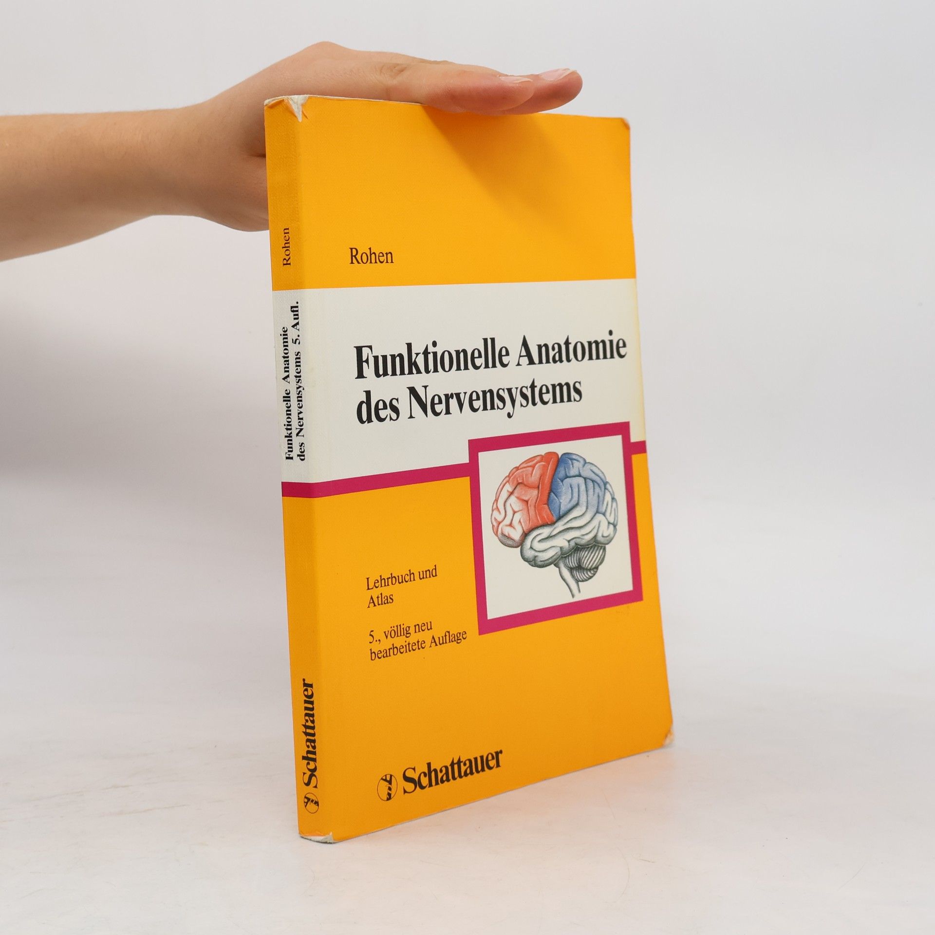 Funktionelle Anatomie des Nervensystems