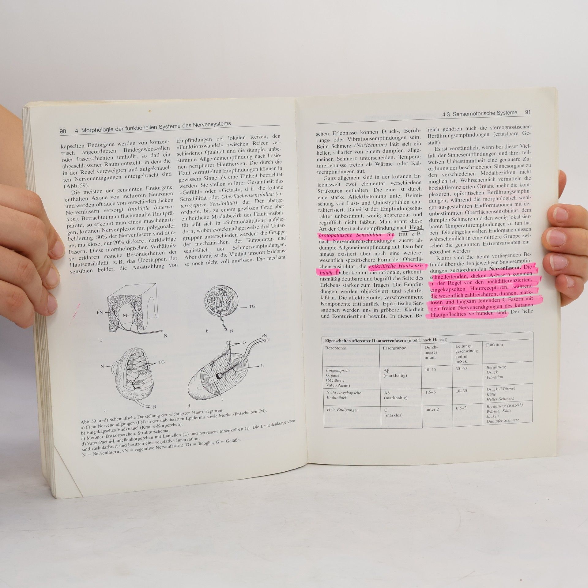 Johannes Wilhelm Rohen Funktionelle Anatomie des Nervensystems