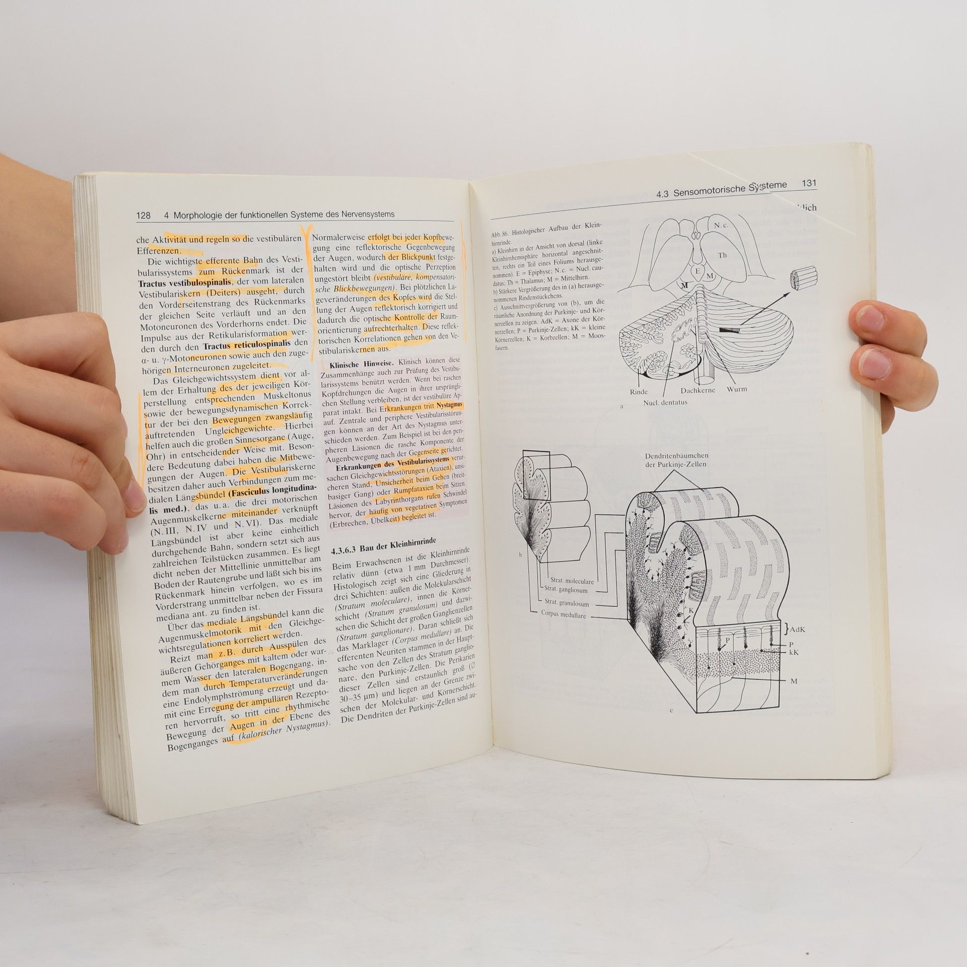 Johannes Wilhelm Rohen Funktionelle Anatomie des Nervensystems