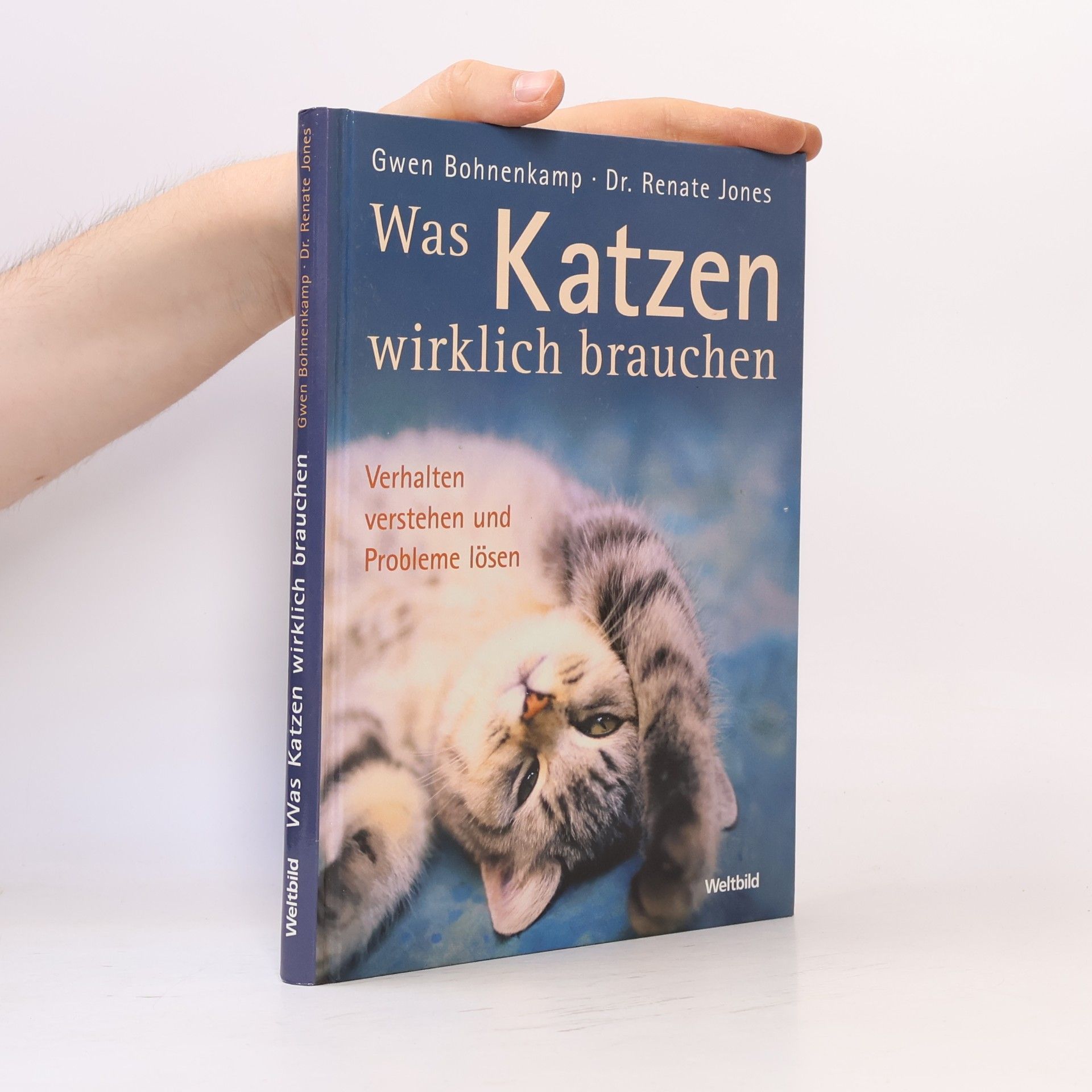 Gwen Bohnenkamp Was Katzen wirklich brauchen