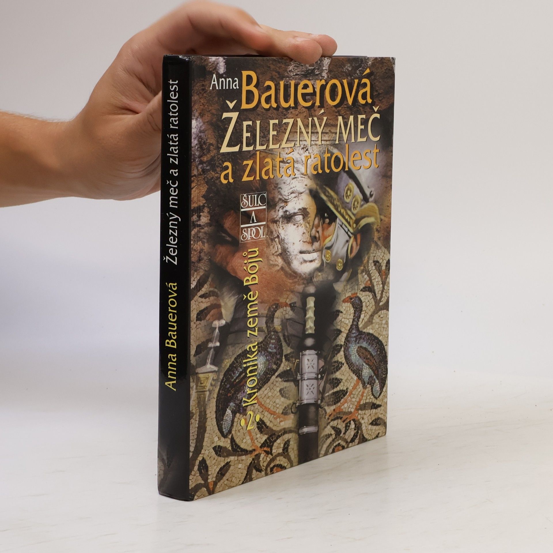Anna Bauerová Železný meč a zlatá ratolest: Kronika země Bójů, 2