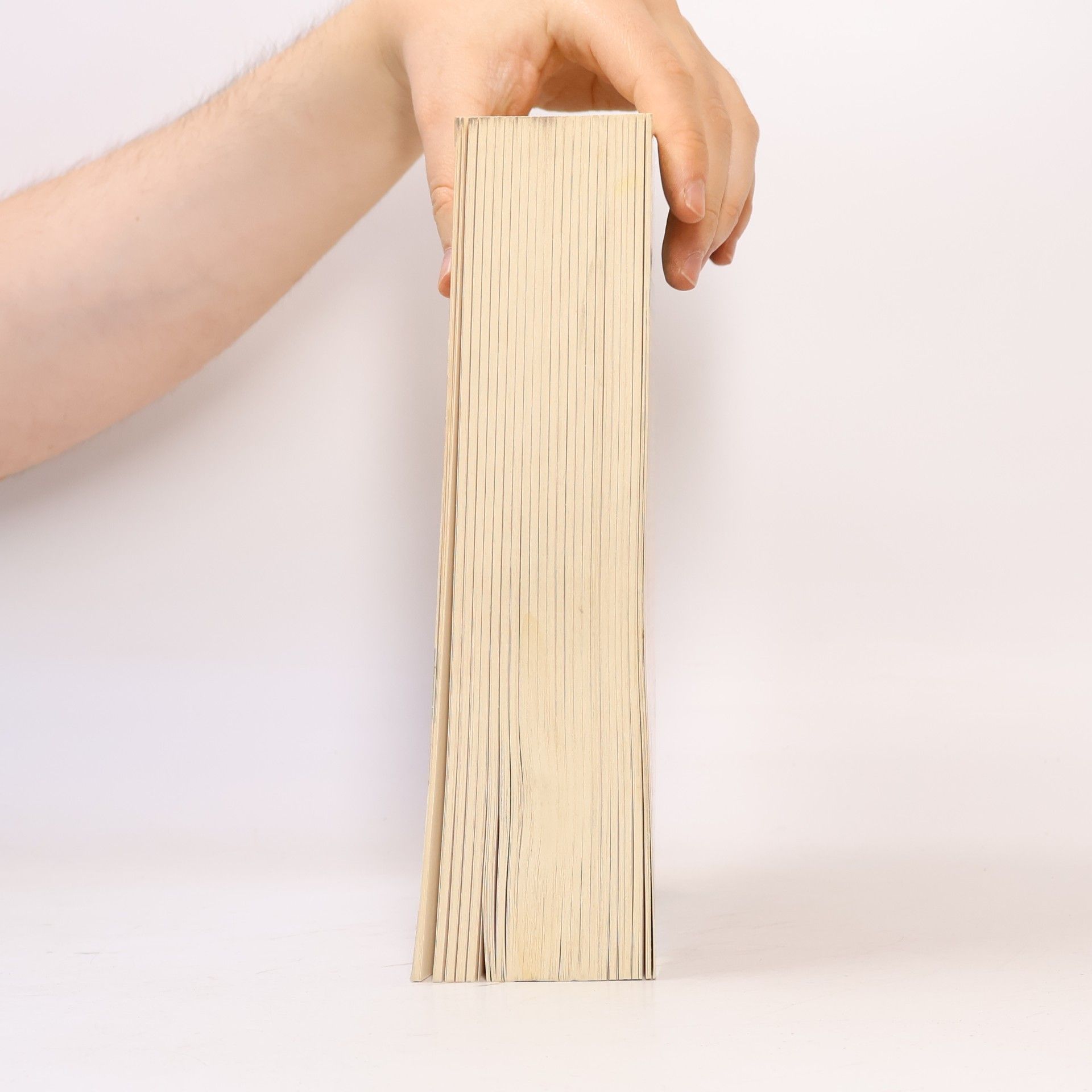 Nakanishi Das große Franzis-Handbuch Office Home and Student 2010
