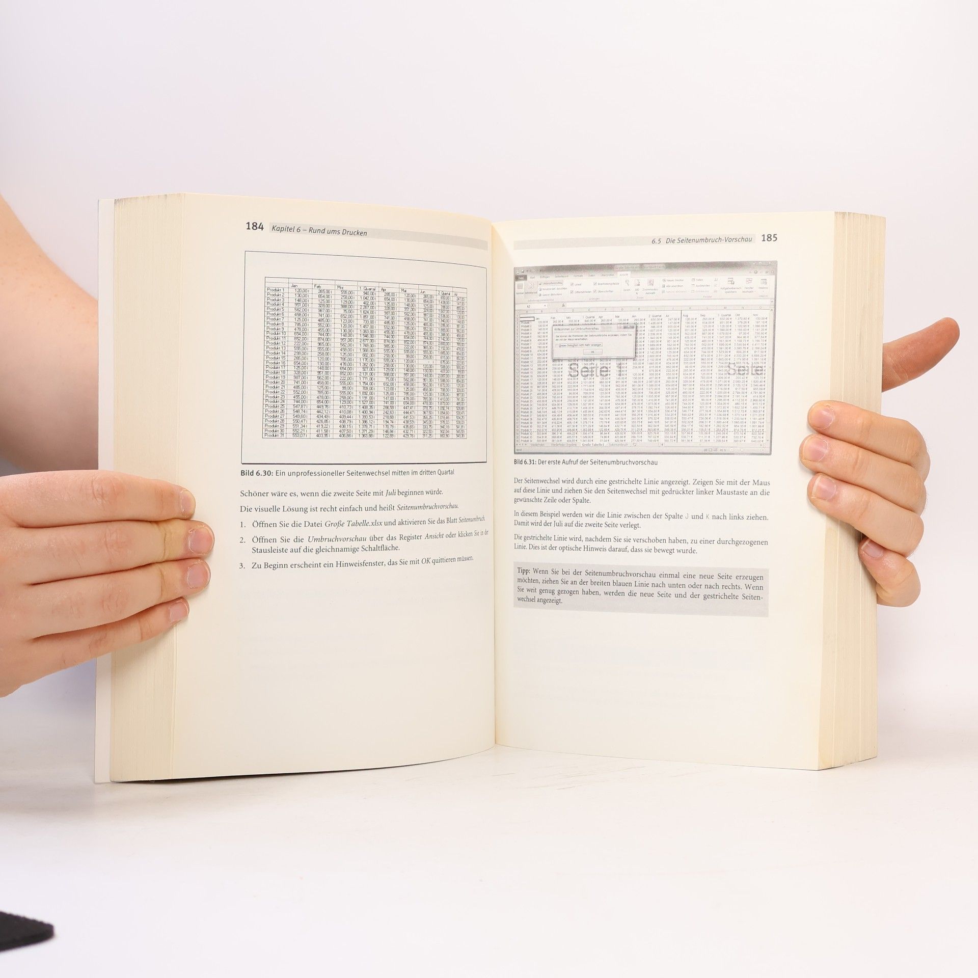 Nakanishi Das große Franzis-Handbuch Office Home and Student 2010