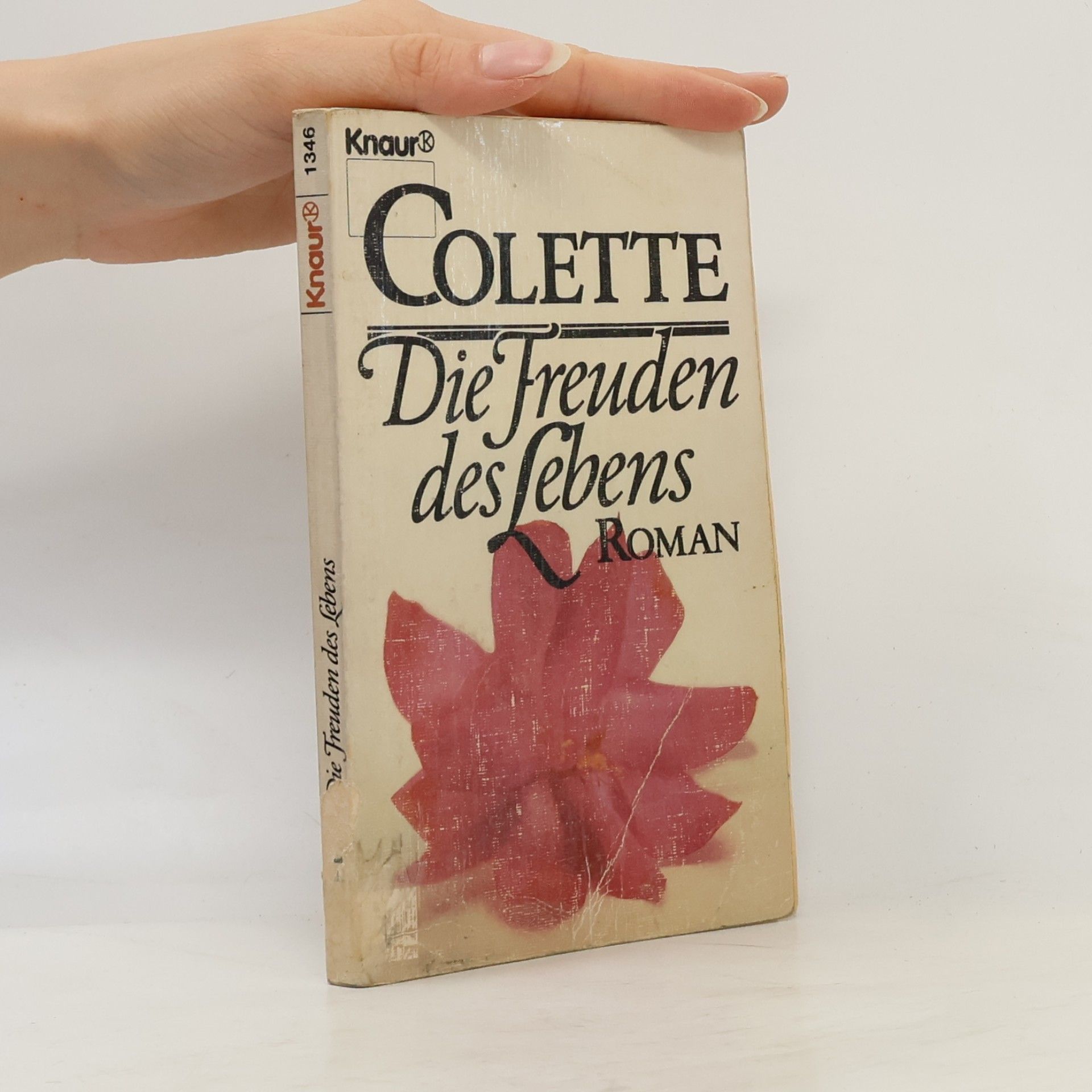Die Freuden des Lebens. Roman.