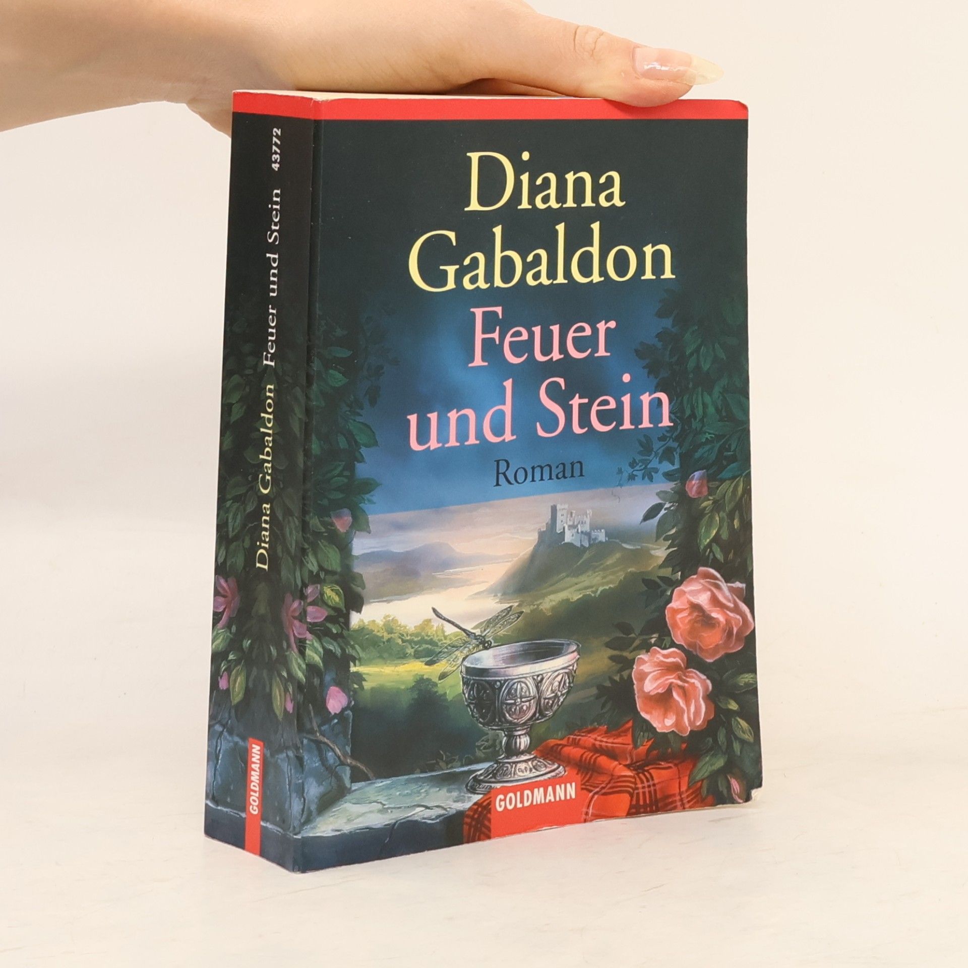 Diana Gabaldon Feuer und Stein