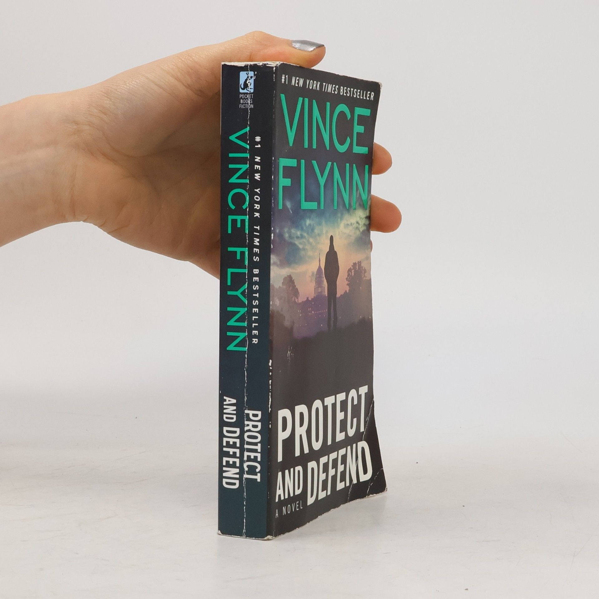 Vince Flynn Protect and Defend