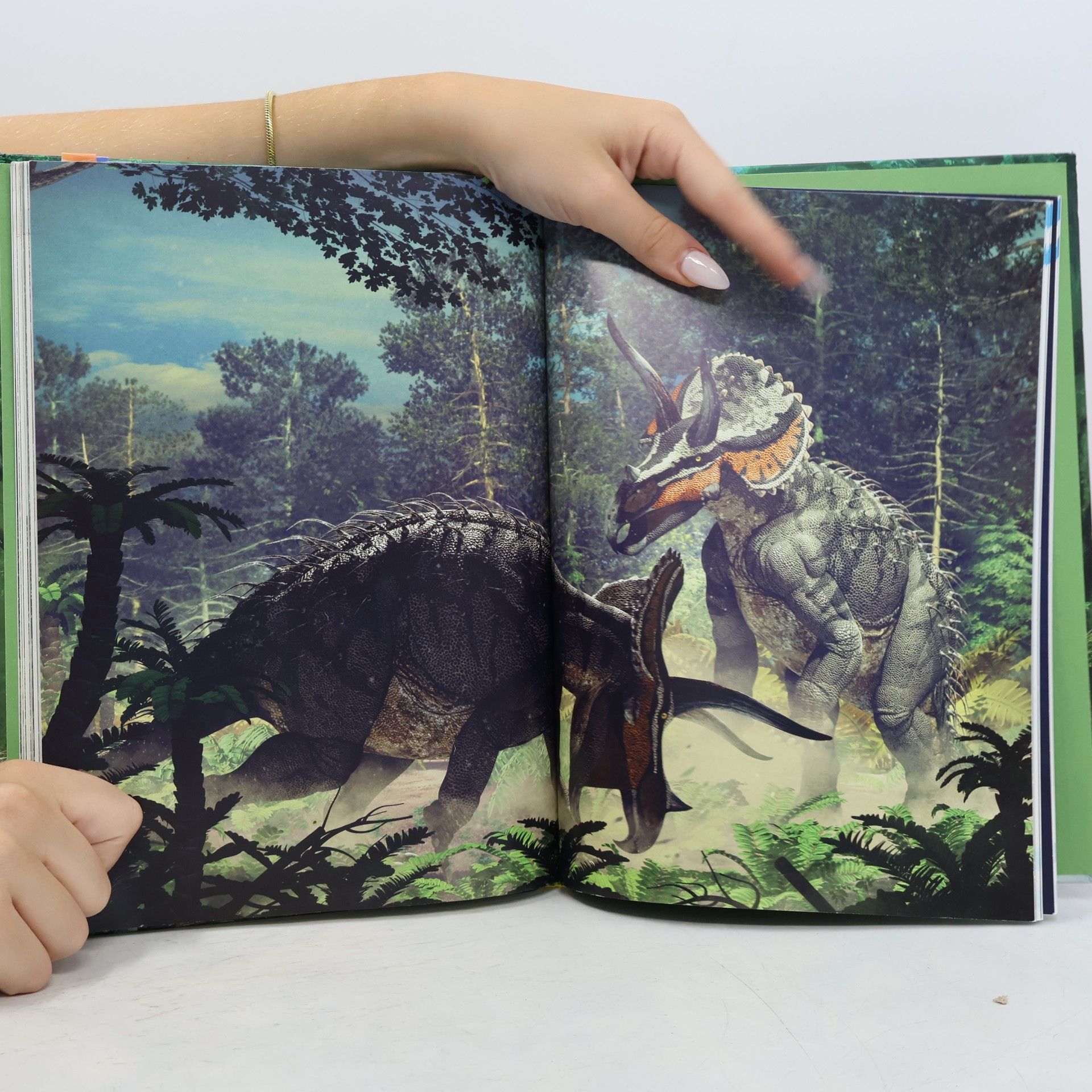 Román García Mora Entdecke die Dinosaurier