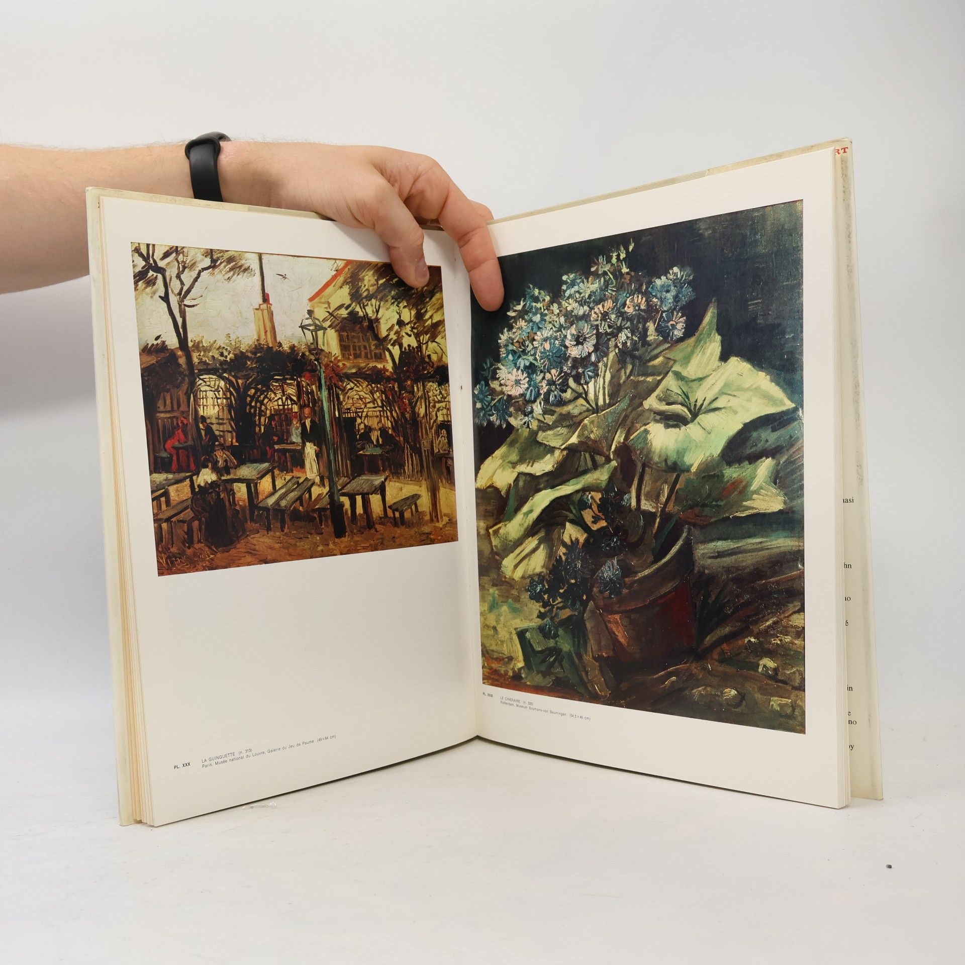 Paolo Lecaldano Tout l'oeuvre peint de Van Gogh I. 1881-1888