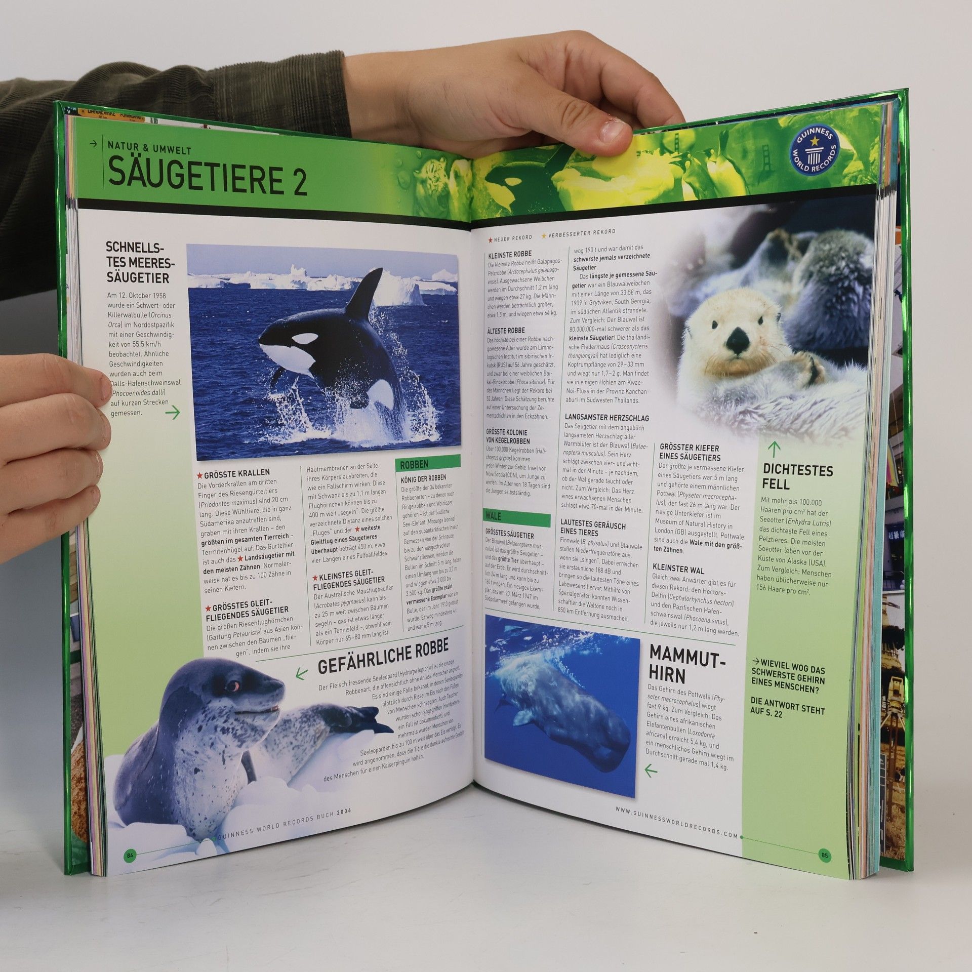 Various authors Guinness World Records 2006