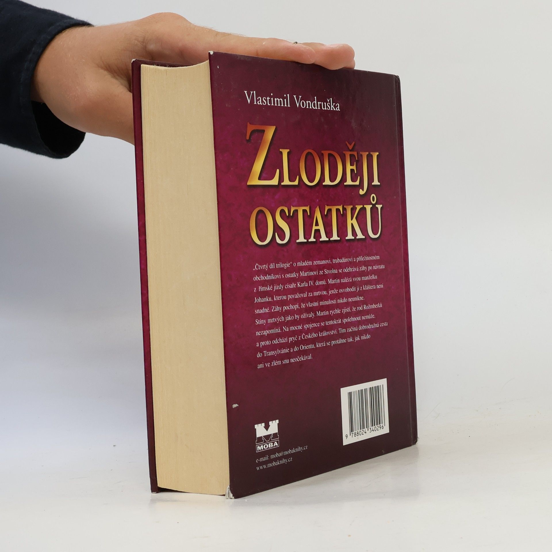 Vlastimil Vondruška Zloději ostatků