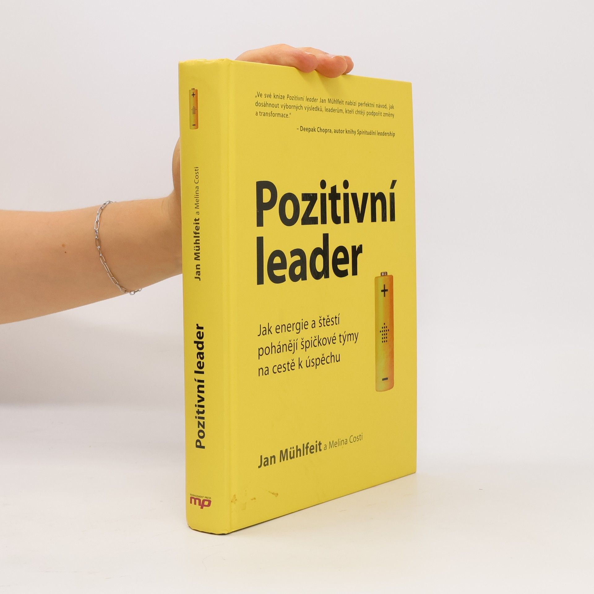 Jan Mühlfeit Pozitivní leader