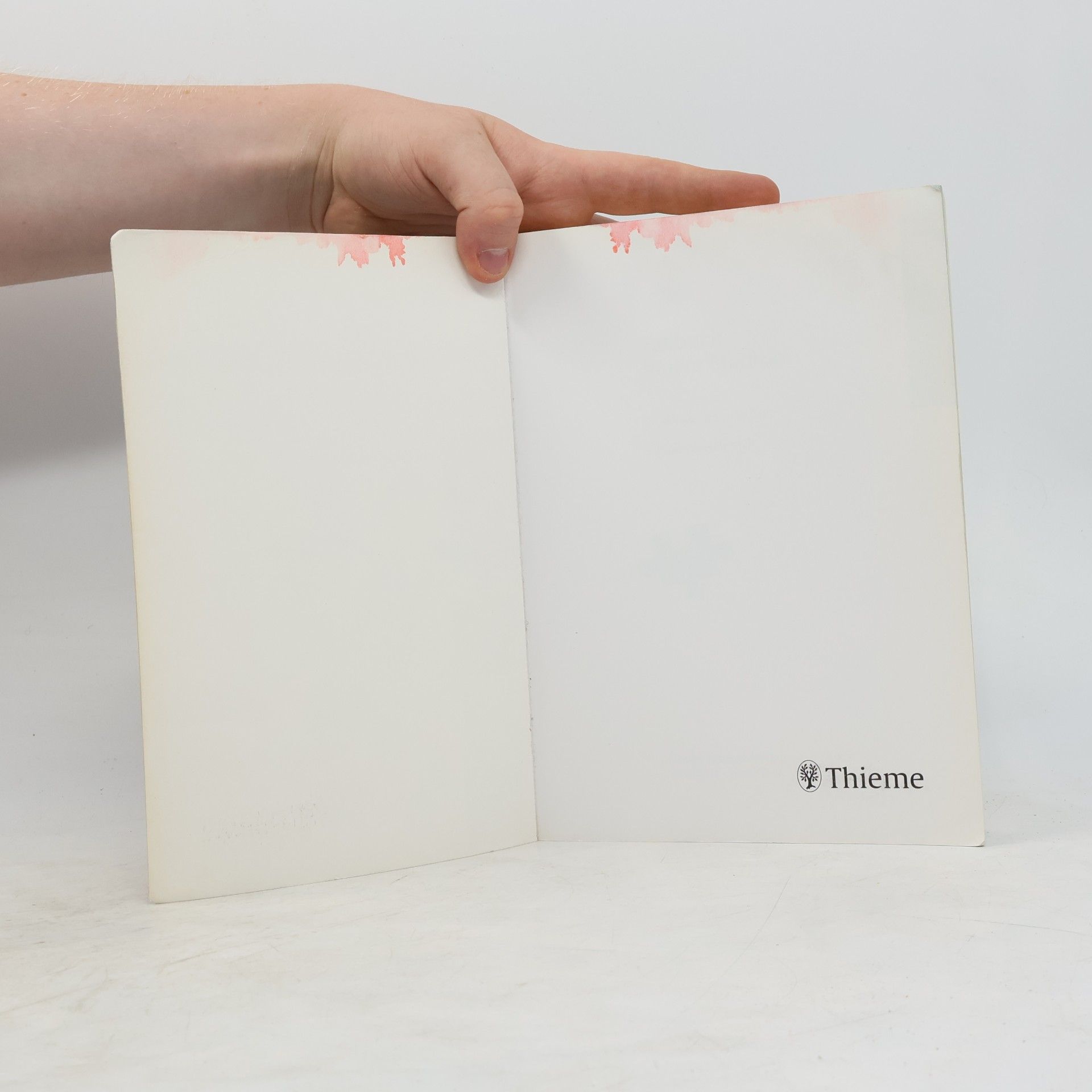 Bernhard Hellmich Fallbuch Innere Medizin