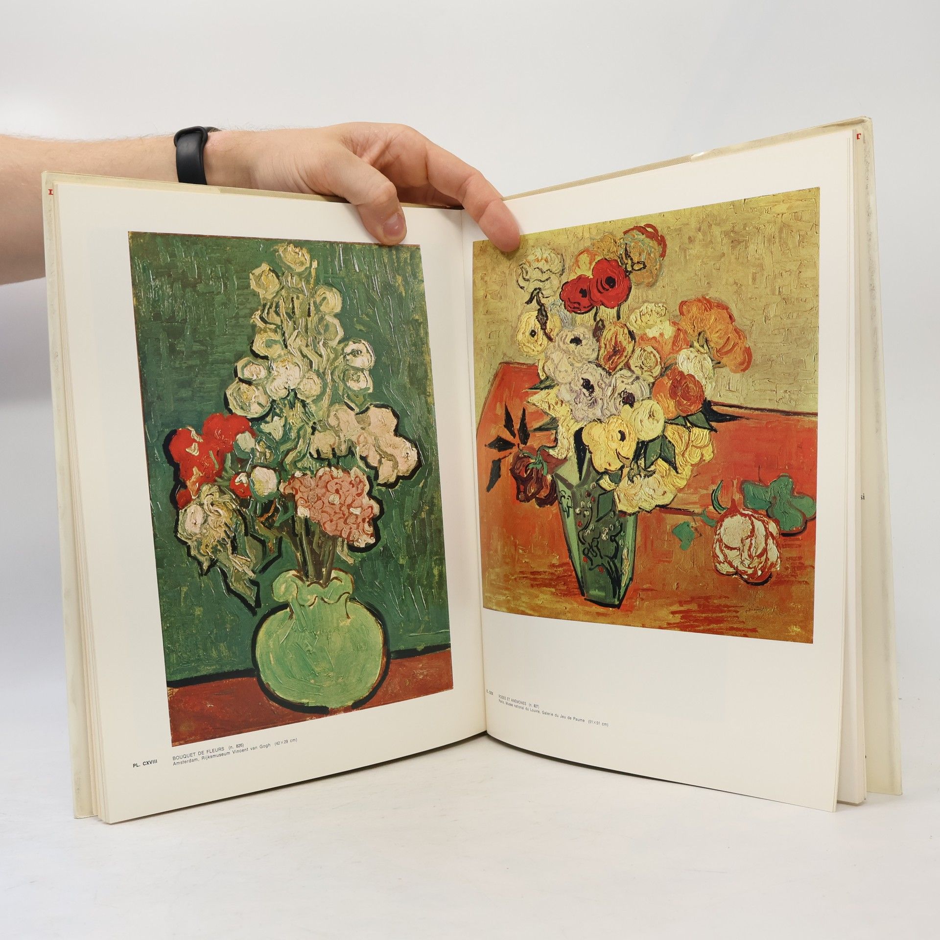 Paolo Lecaldano Tout l'oeuvre peint de Van Gogh/1888-1890