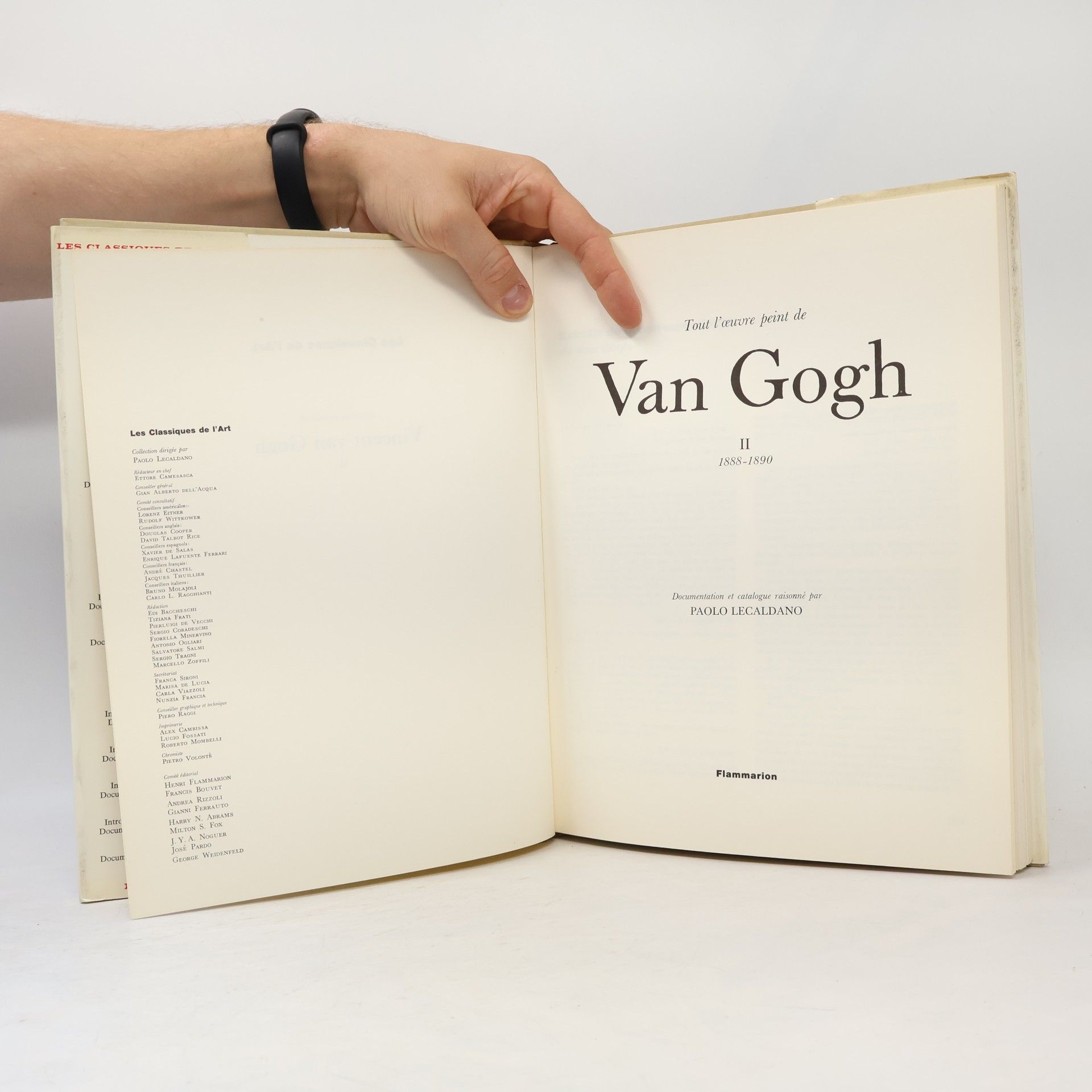 Paolo Lecaldano Tout l'oeuvre peint de Van Gogh/1888-1890