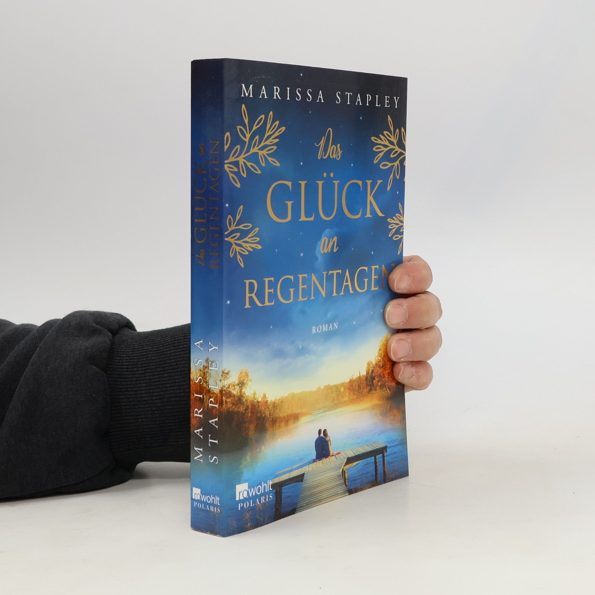 Marissa Stapley Das Glück an Regentagen