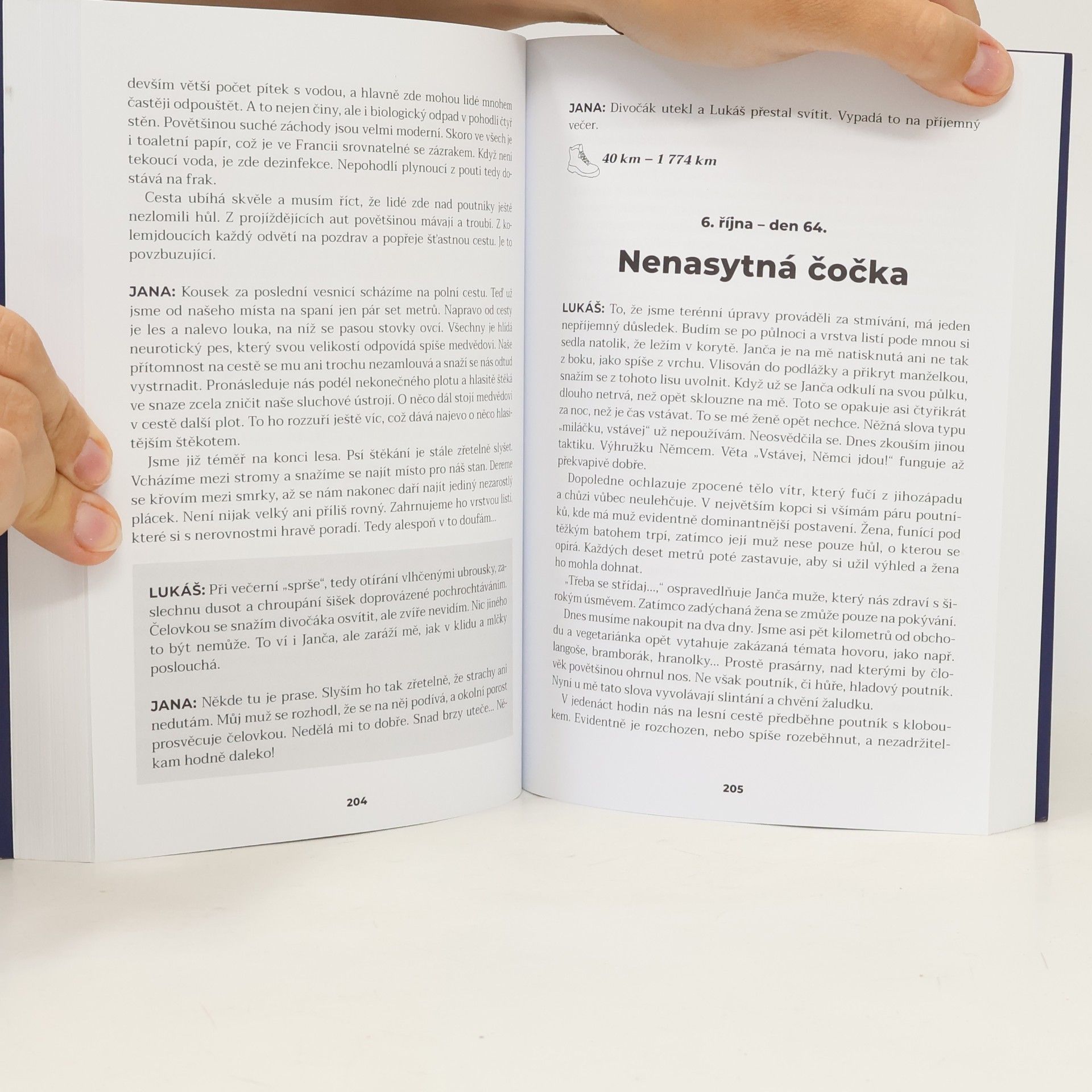 Jana Hanušová Od oltáře do Santiaga, aneb, Na svatební cestu pěšky