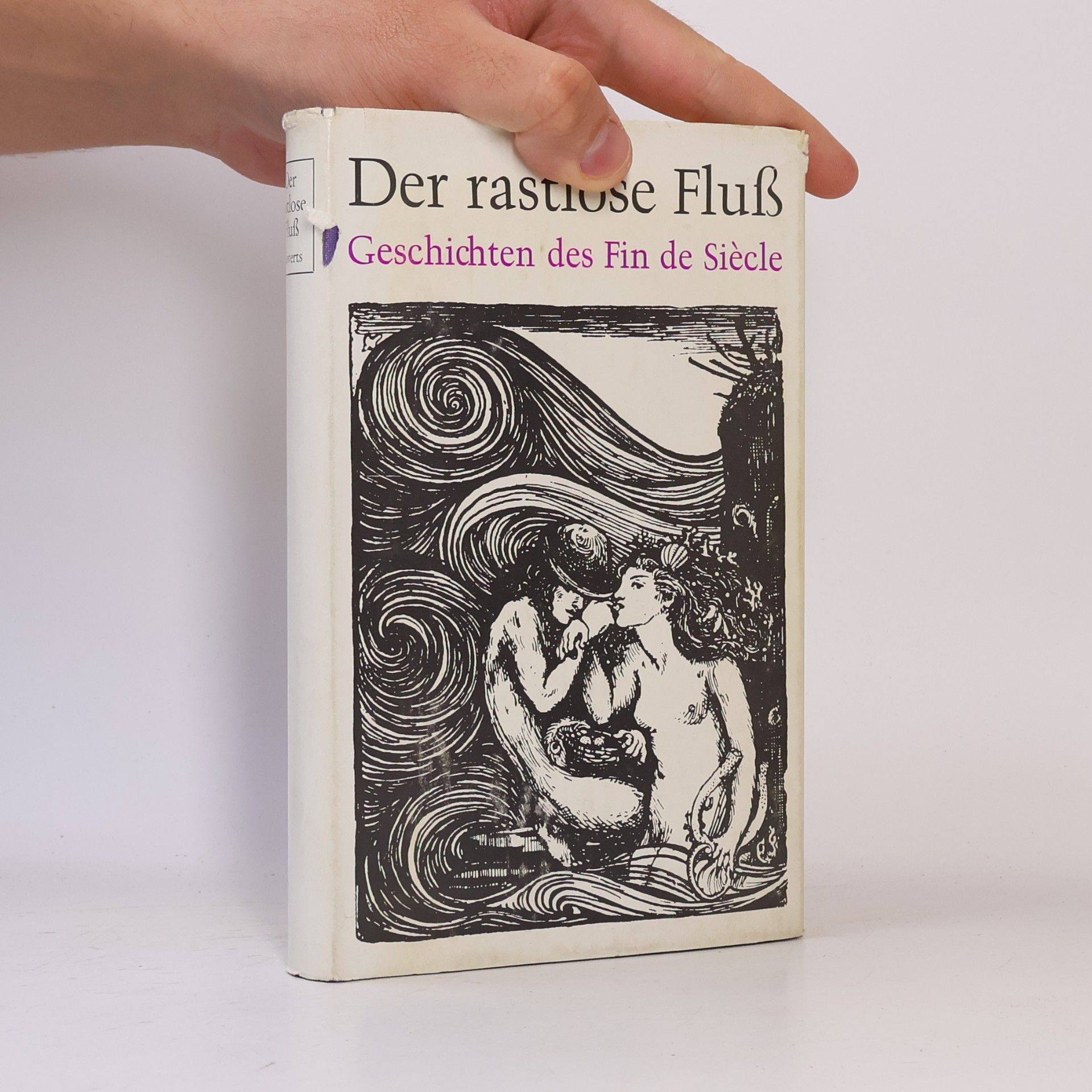 Autorenkollektiv Der rastlose Fluss. Geschichten des Fin de siècle
