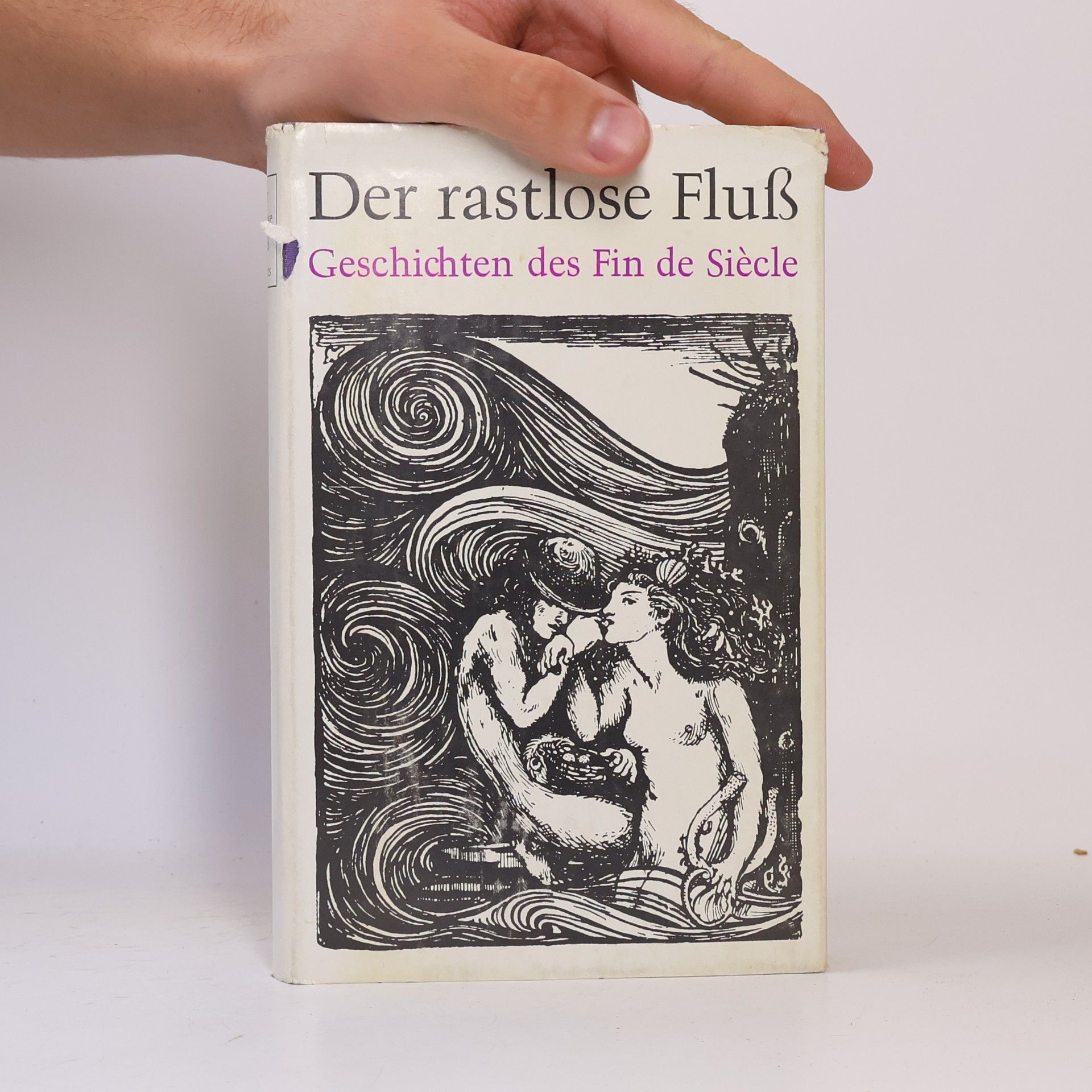 Autorenkollektiv Der rastlose Fluss. Geschichten des Fin de siècle