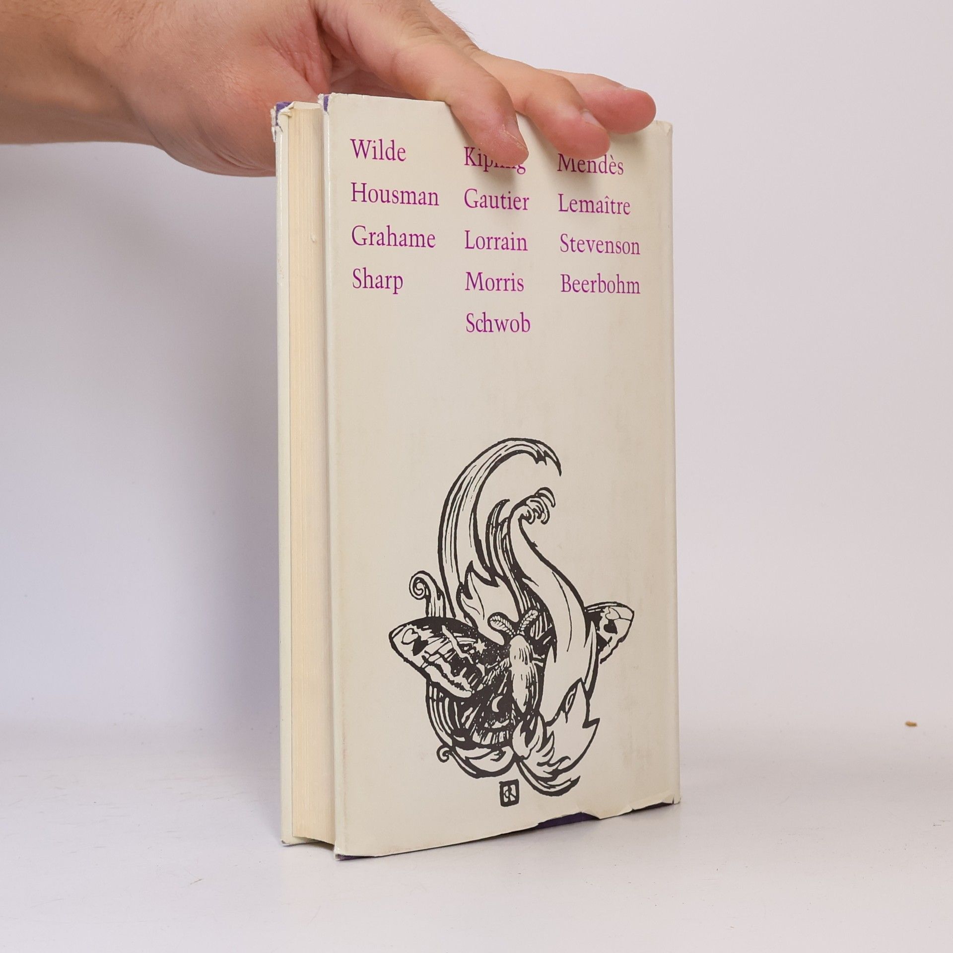 Autorenkollektiv Der rastlose Fluss. Geschichten des Fin de siècle