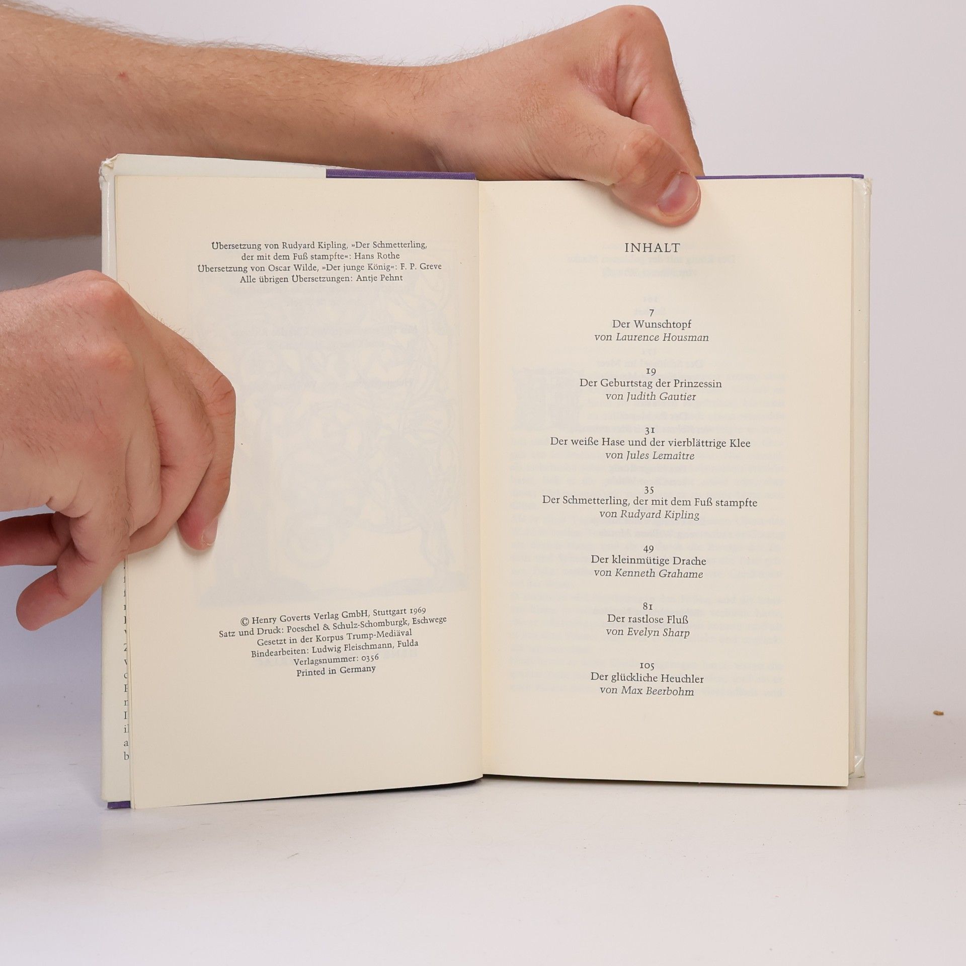 Autorenkollektiv Der rastlose Fluss. Geschichten des Fin de siècle
