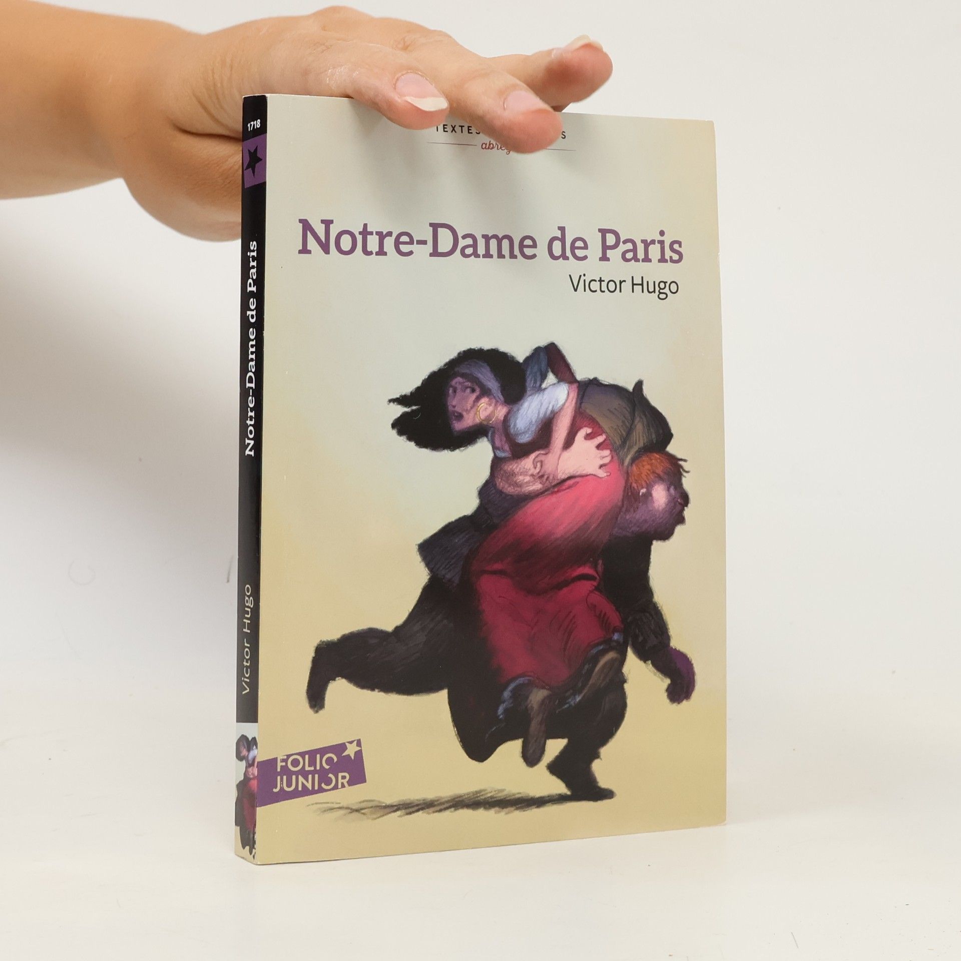 Patricia Arrou-Vignod Folio Junior - Textes abrégés: Notre-Dame de Paris