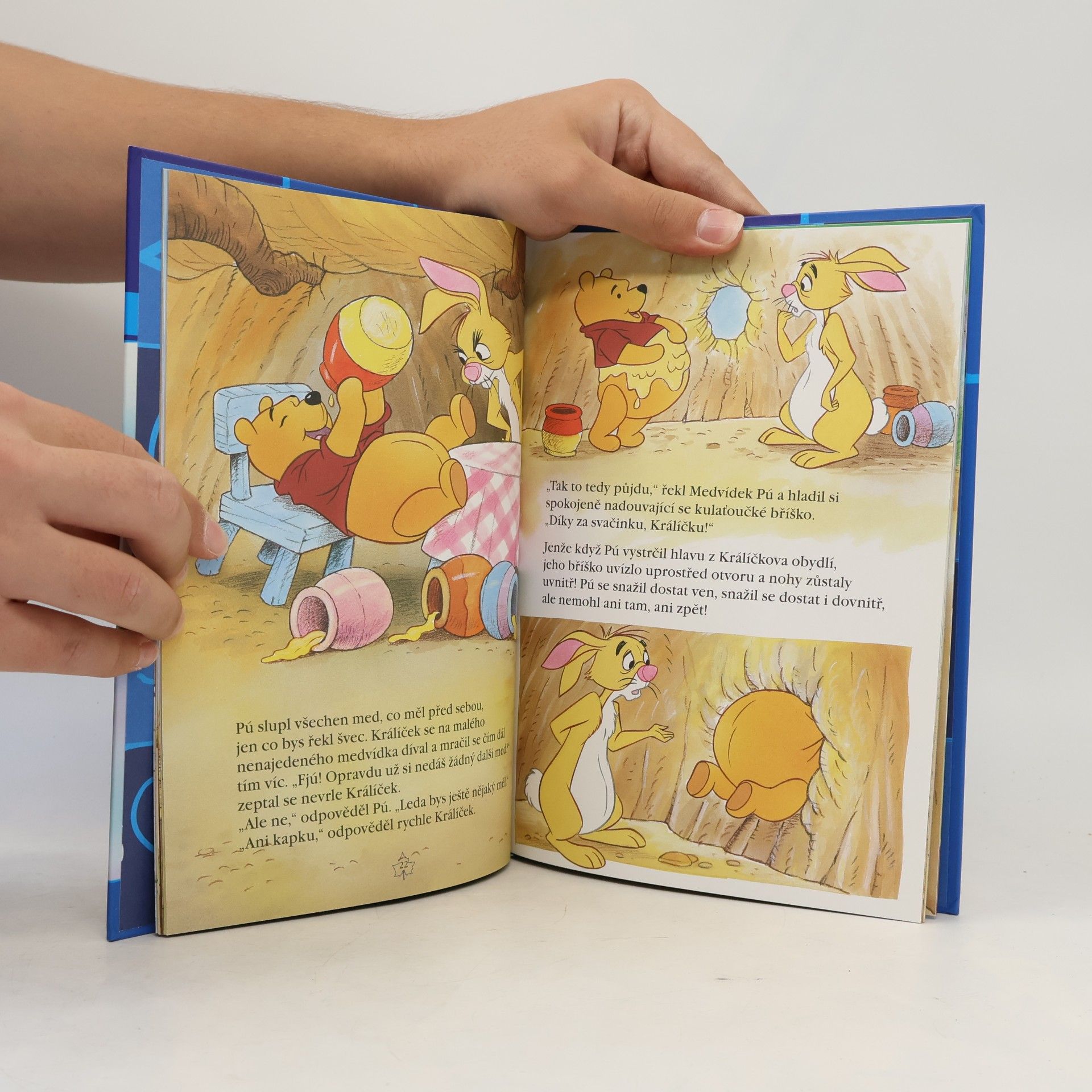 Walt Disney Kouzelné pohádky. Medvídek Pú a medonosný strom