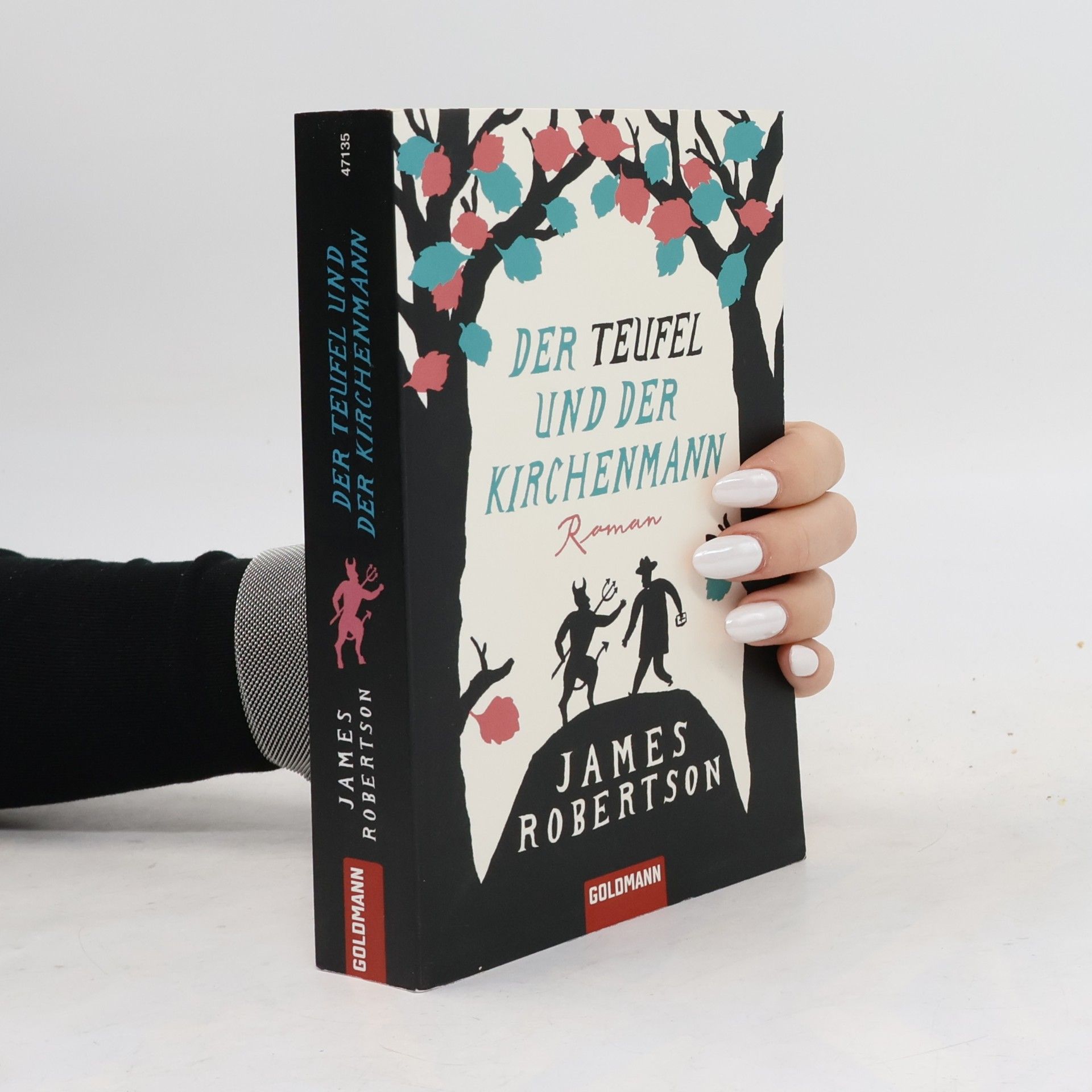 James Robertson Der Teufel und der Kirchenmann