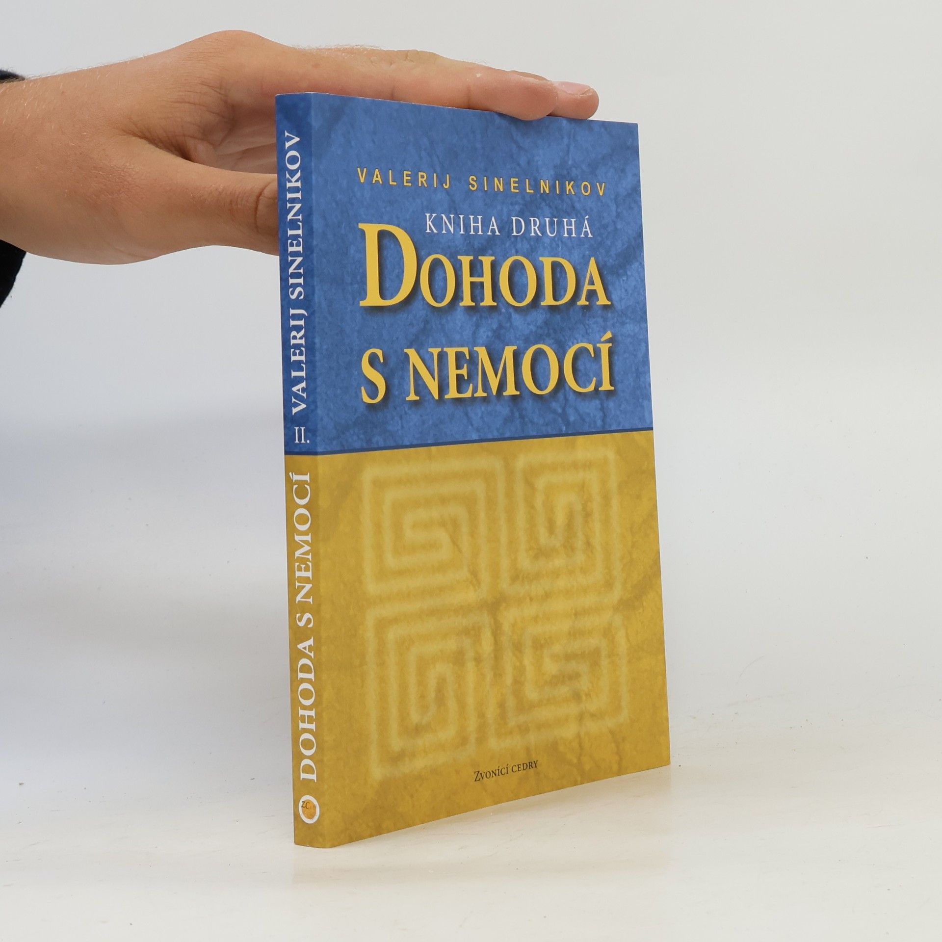 Valerij Vladimirovič Sinelnikov Dohoda s nemocí. Kniha druhá
