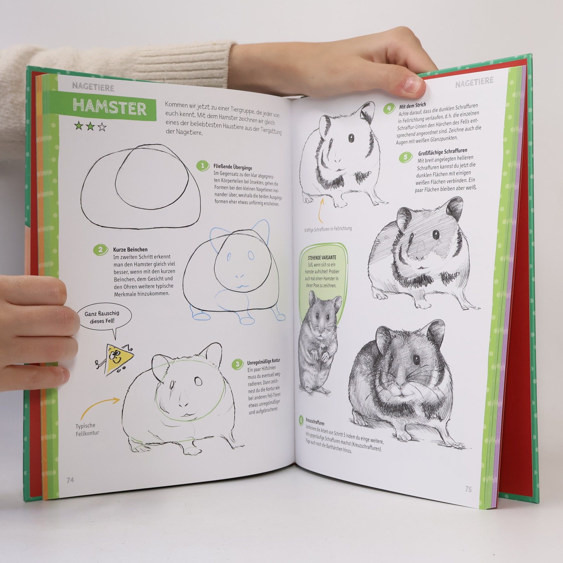 Gecko Keck Die Kunst des Zeichnens für Kinder