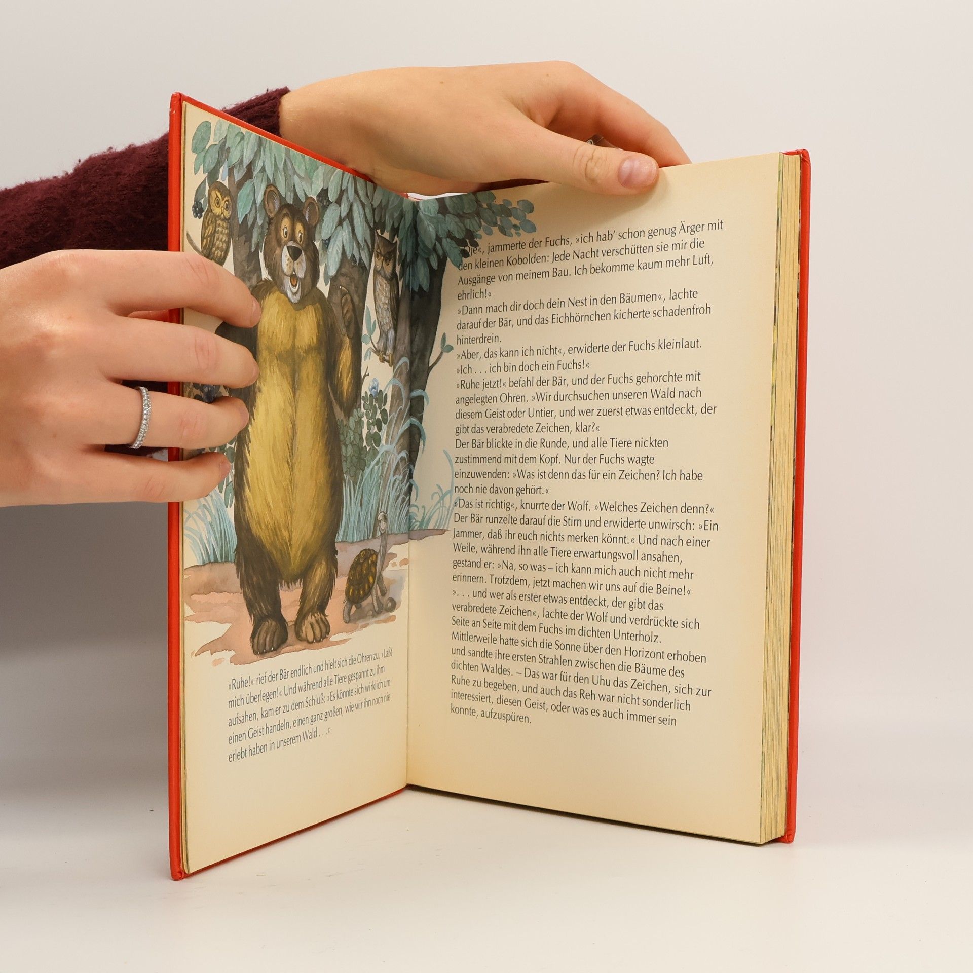 Anne Suess Der kleine Drache und seine Freunde