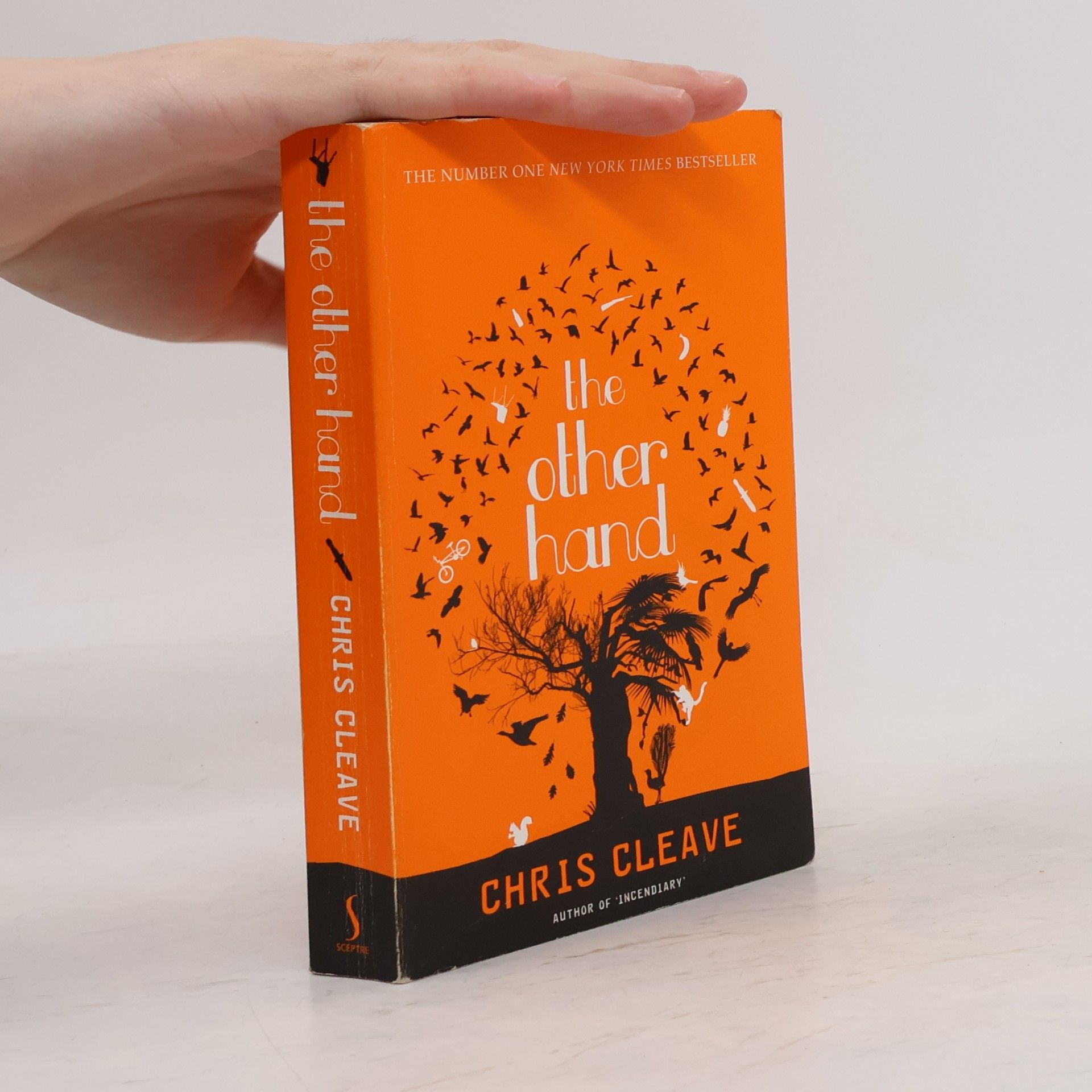 Chris Cleave The other hand