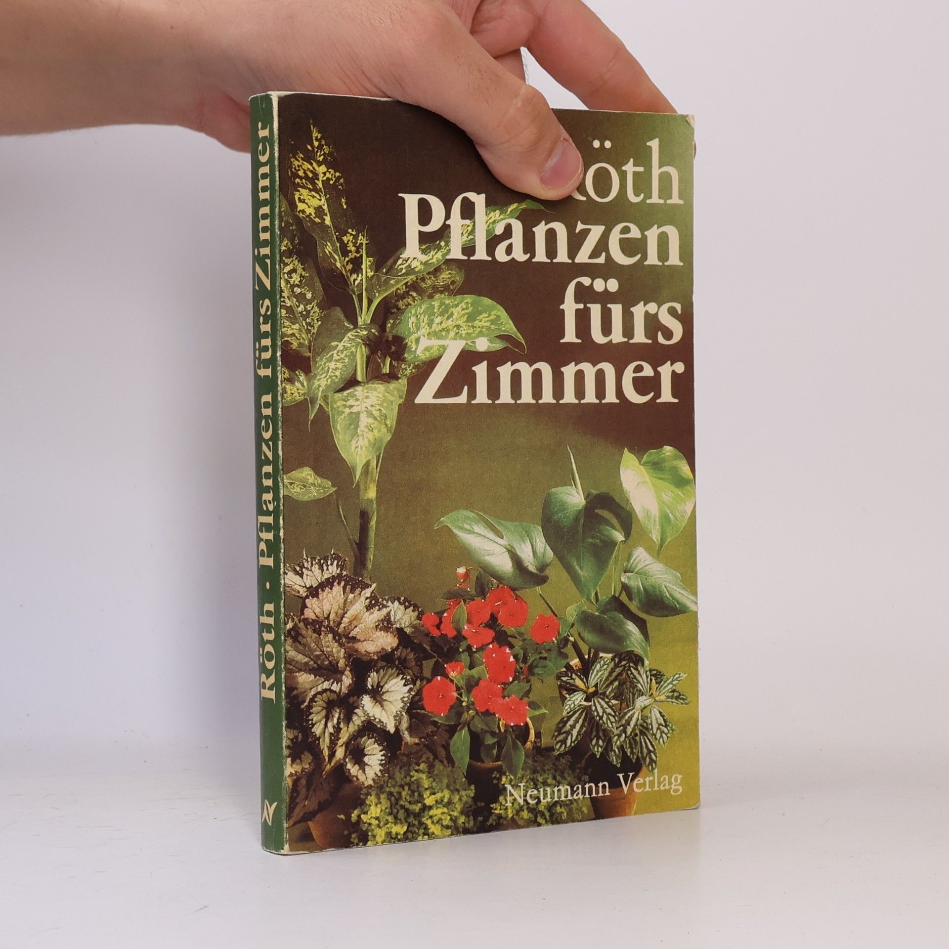 Jürgen Roth Pflanzen fürs Zimmer