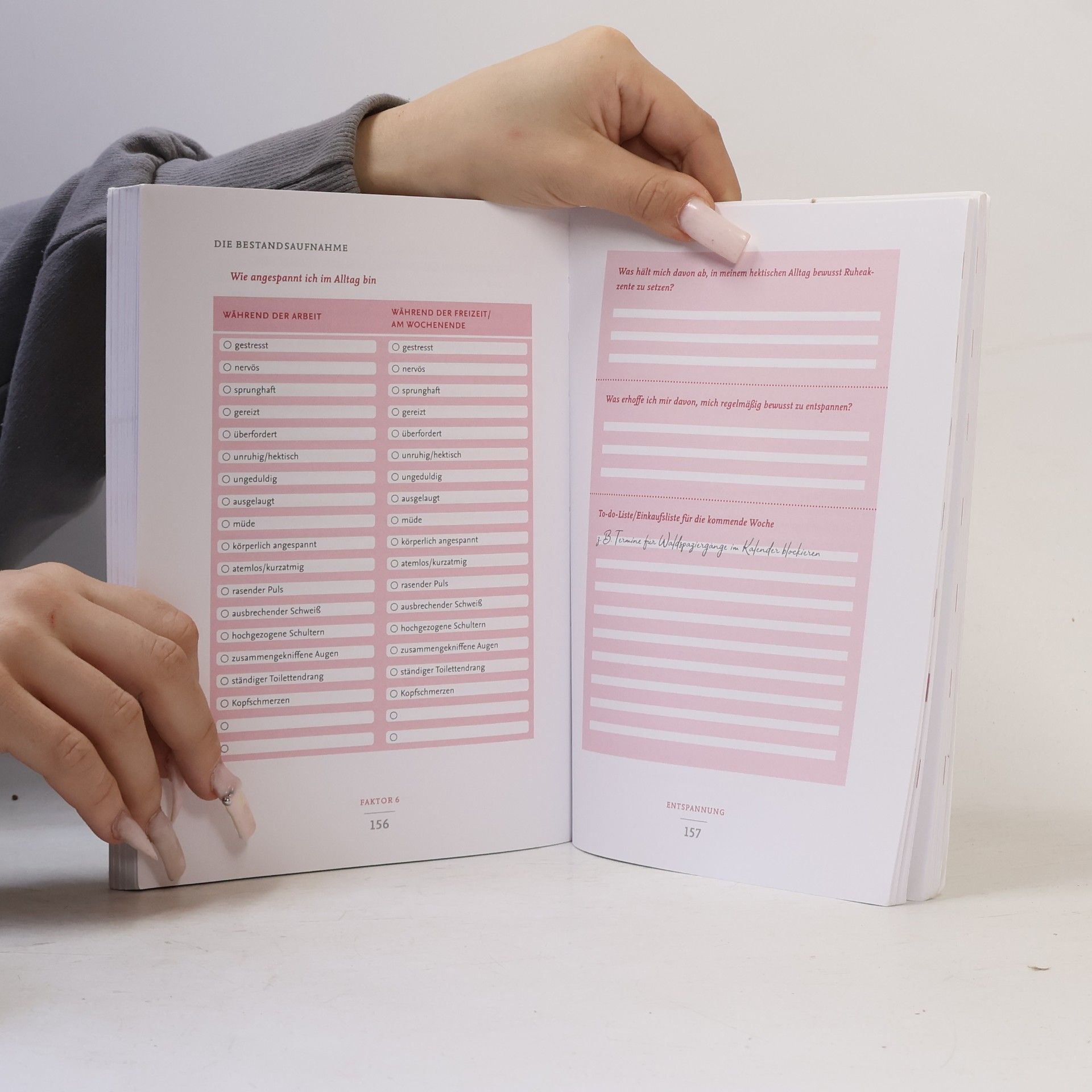 Sven Voelpel Die Jungbrunnen-Formel - Das Praxisbuch