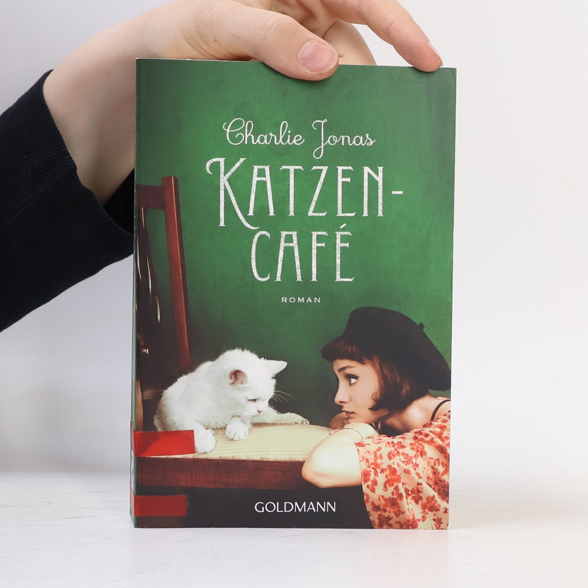 Charlie Jonas Katzencafé