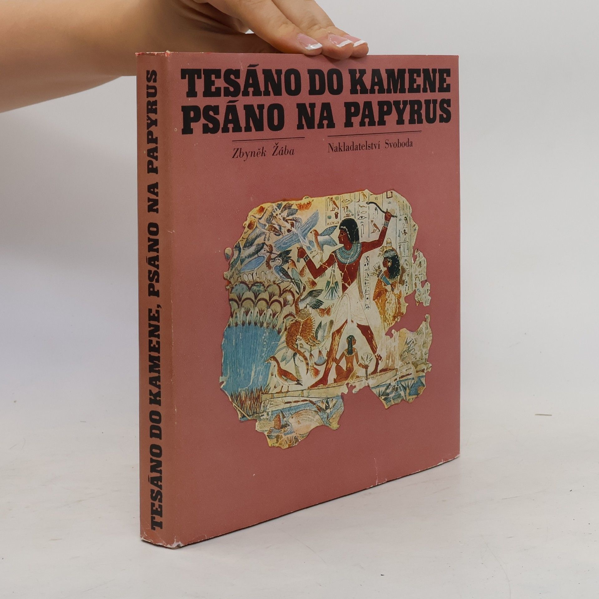 Zbyněk Žába Tesáno do kamene, psáno na papyrus