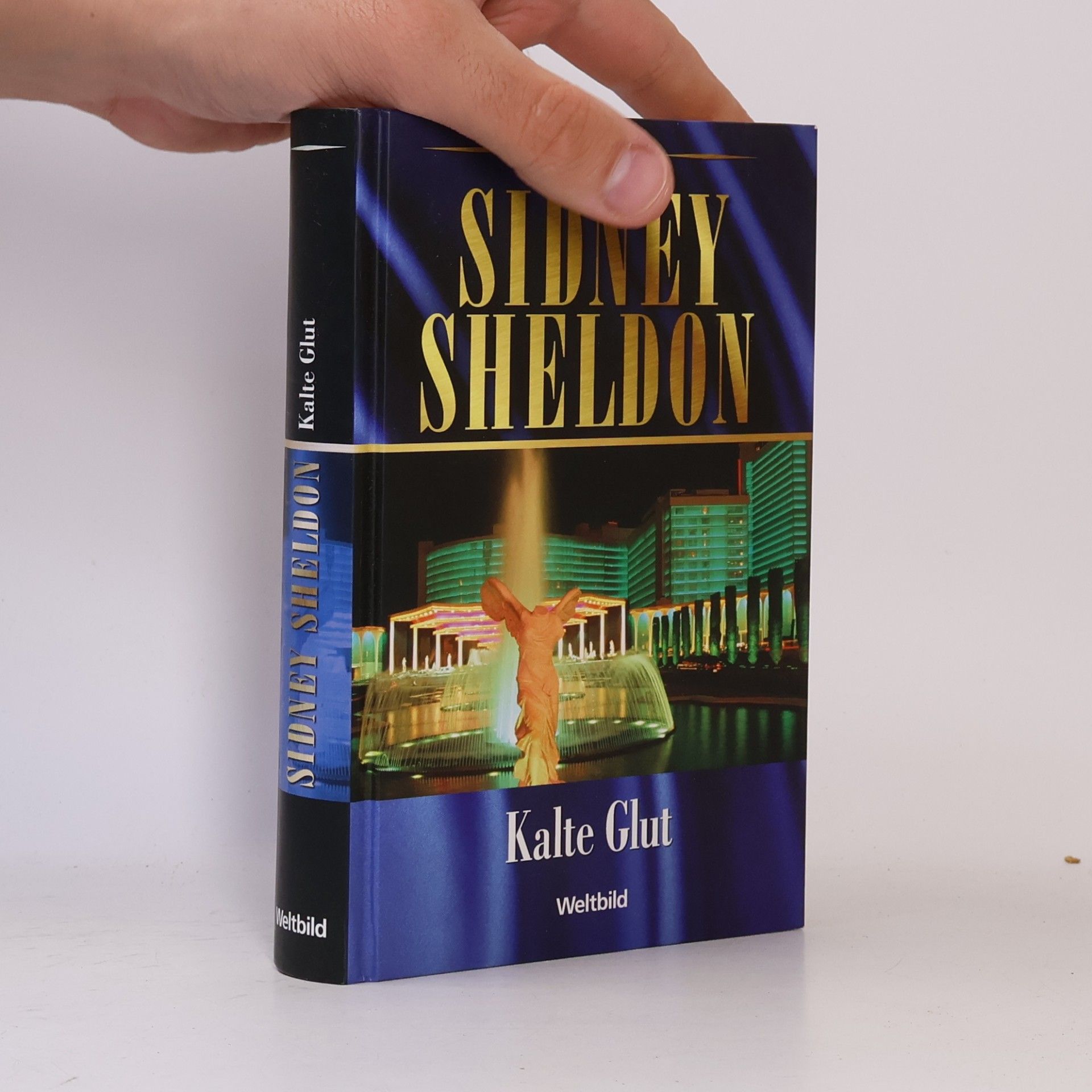 Sidney Sheldon Kalte Glut