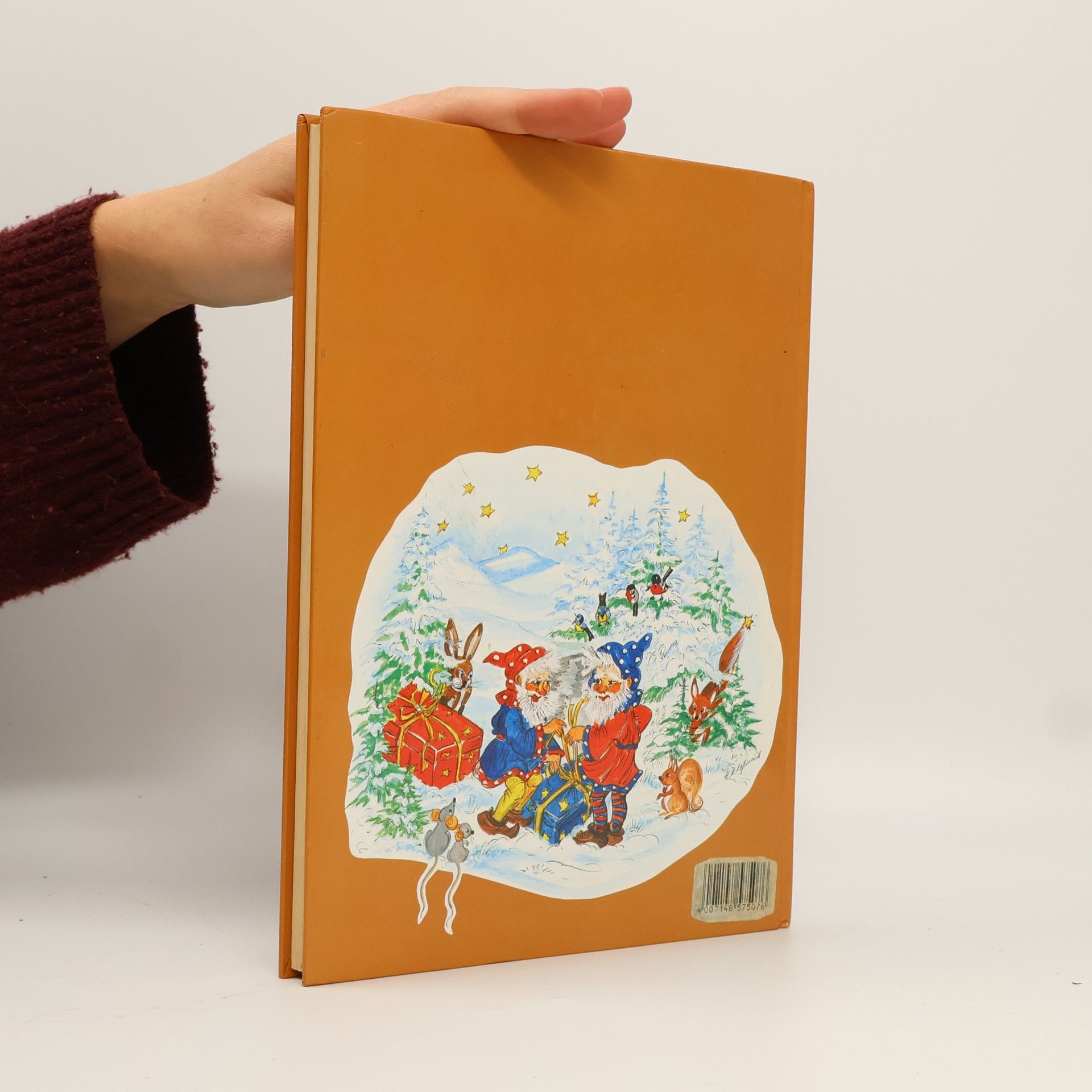 Auteurscollectief Wunderschöne Weihnachts Geschichten