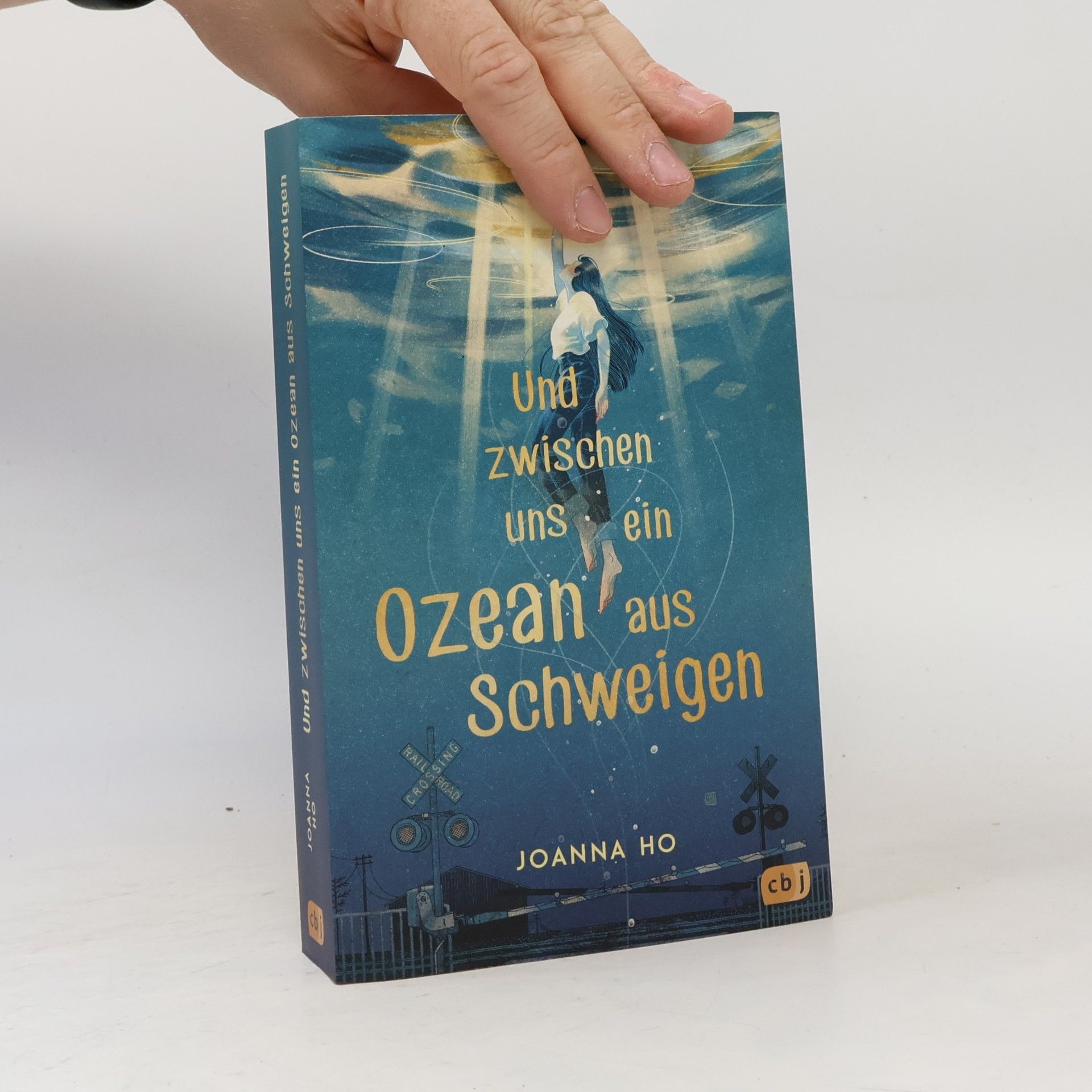 Joanna Ho Und zwischen uns ein Ozean aus Schweigen