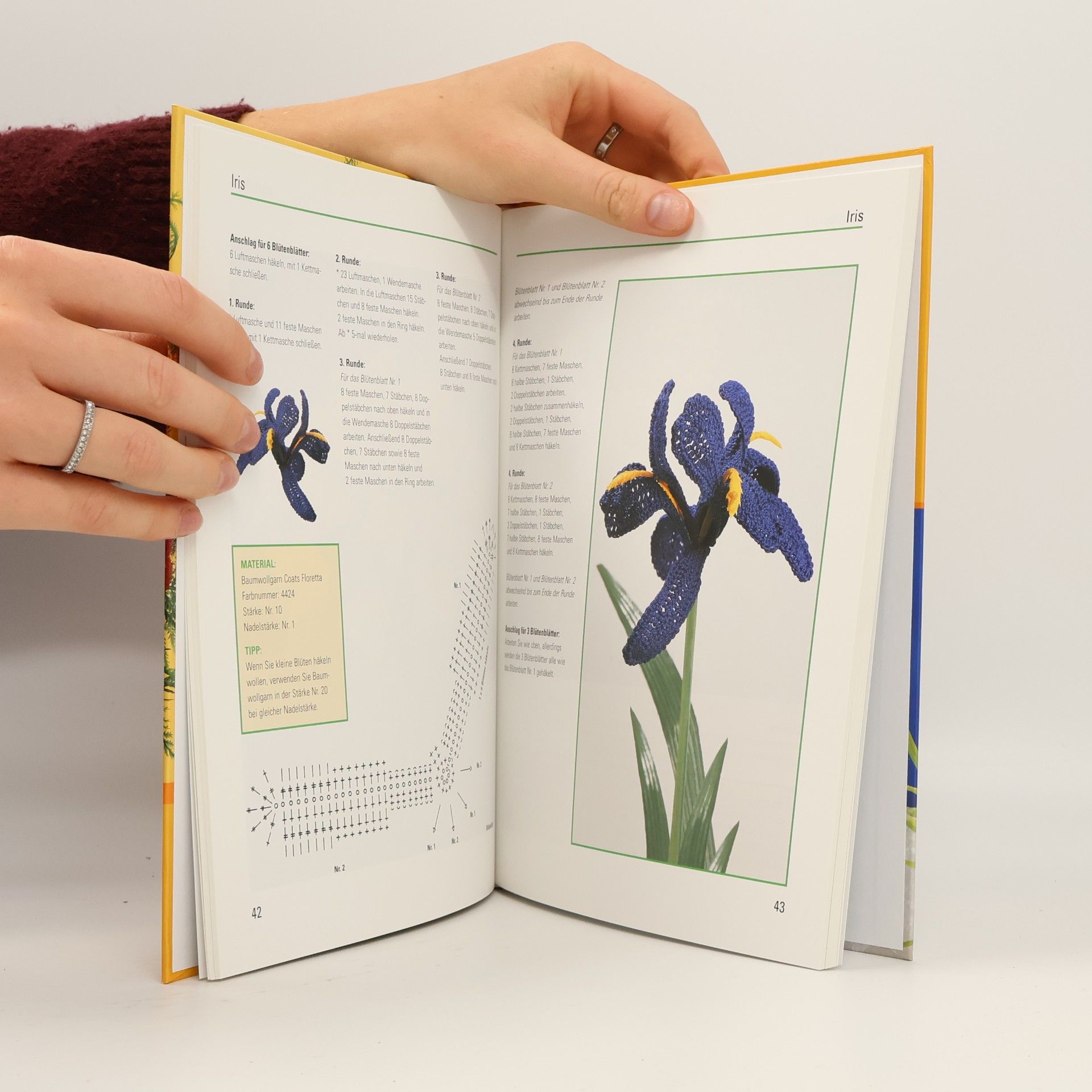Eva Hambach Das grosse Häkelblumenbuch
