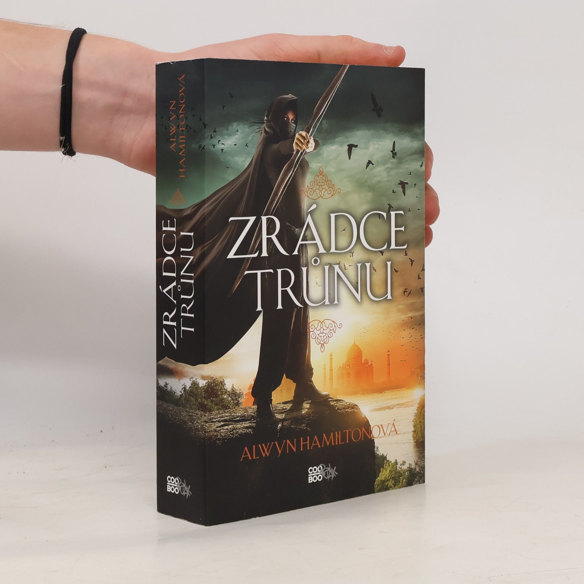 Alwyn Hamilton Zrádce trůnu